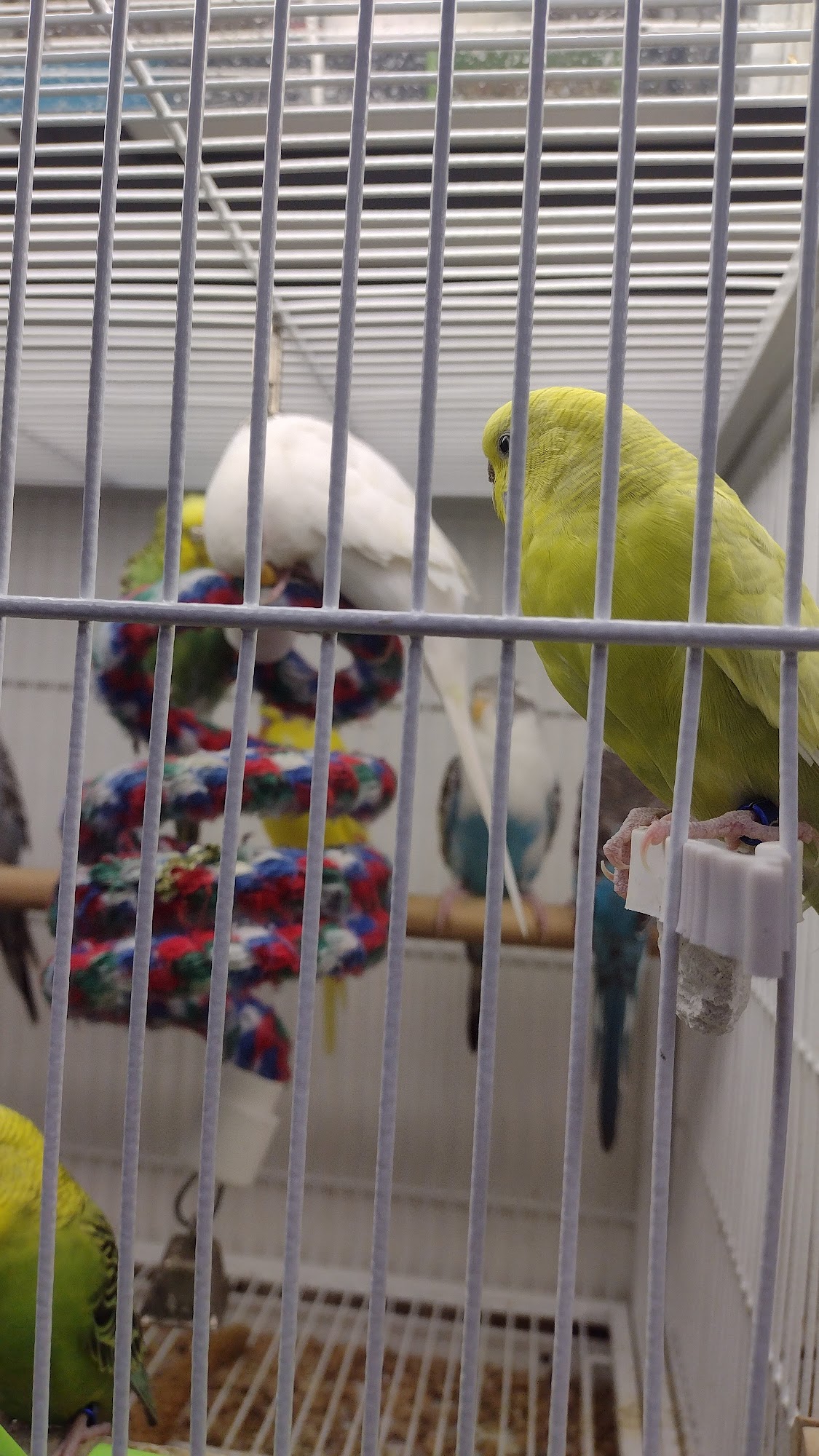 Pet Supplies Plus Ephrata Ephrata