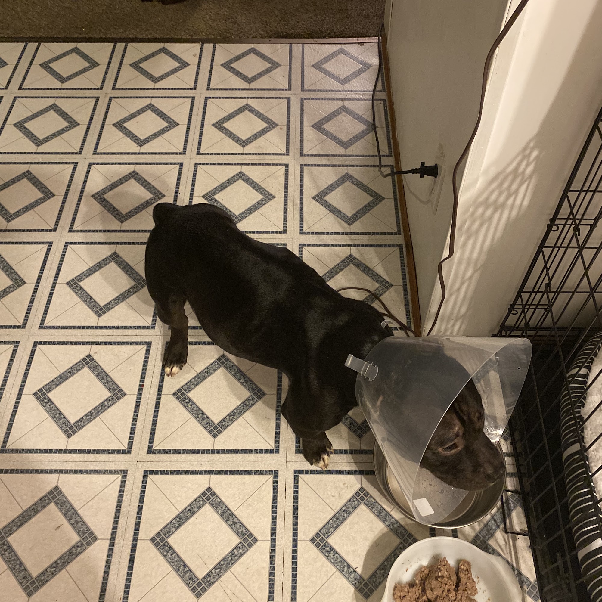 Summit Pet Hospital & Care Center Erie