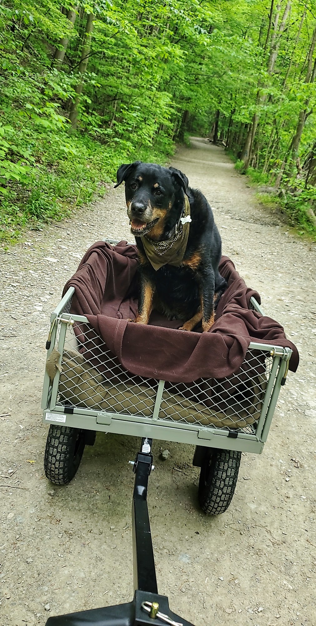 Wales Veterinary Practice Erie