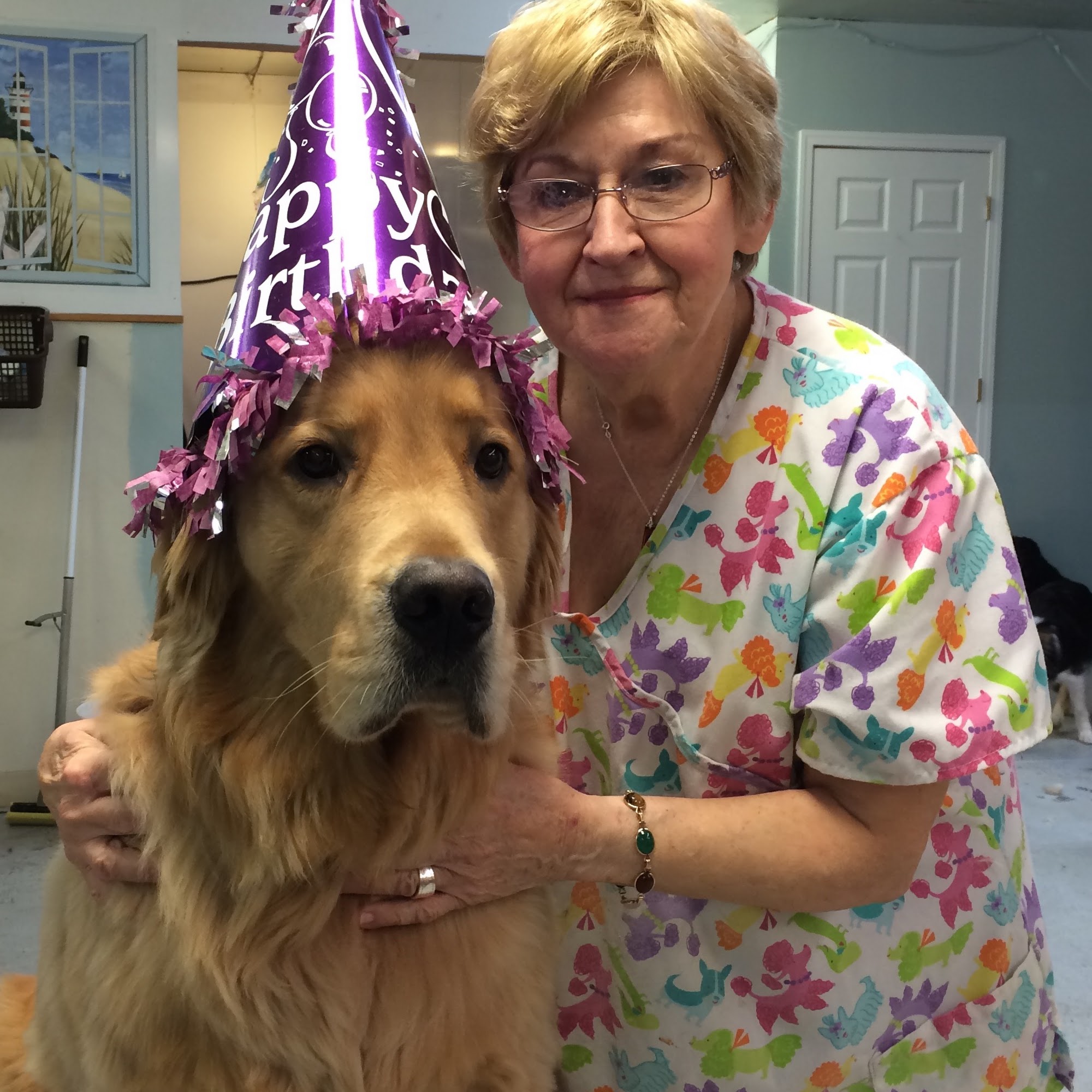 Grooming by Charlene Pet Boutique Erie