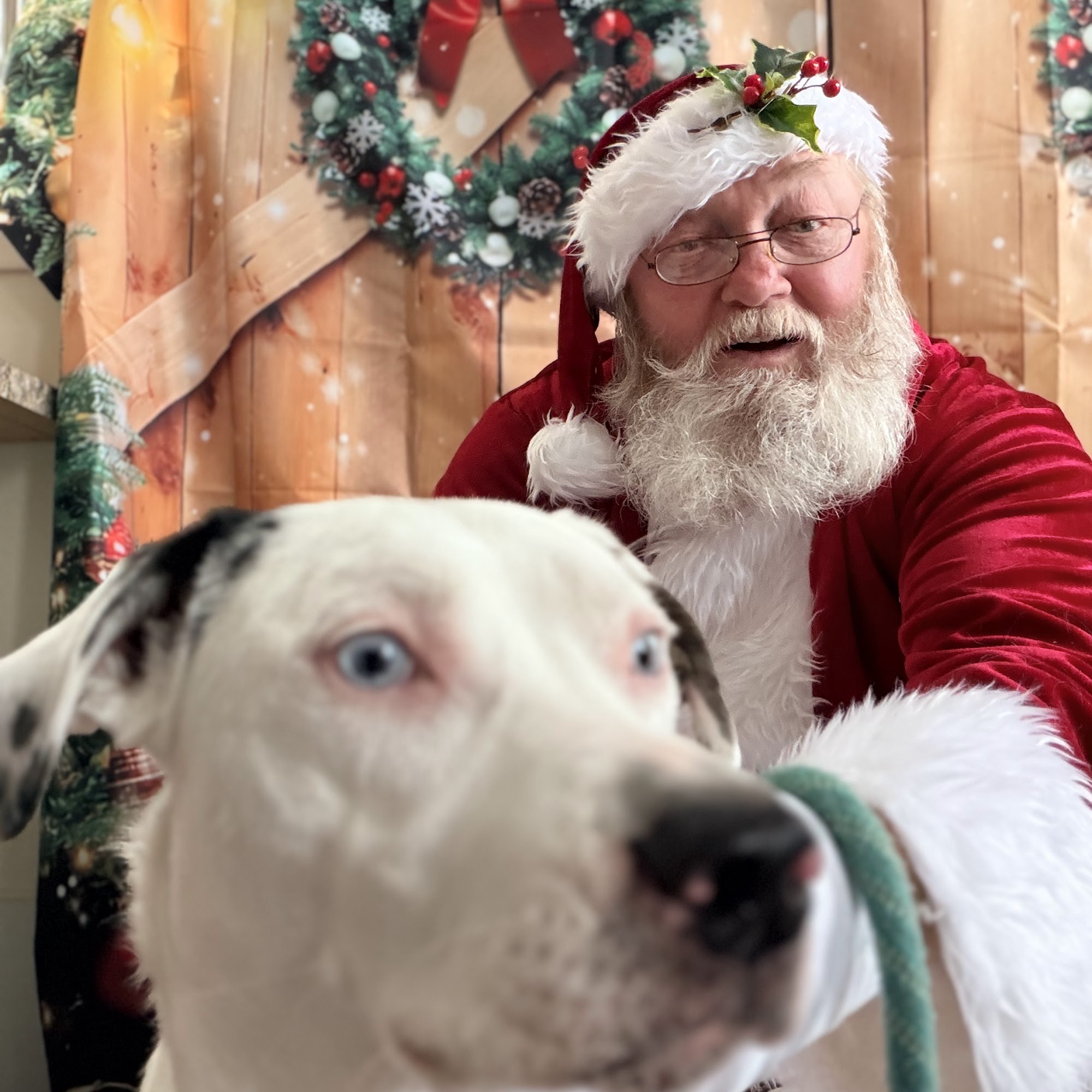 The Crate Escape Erie