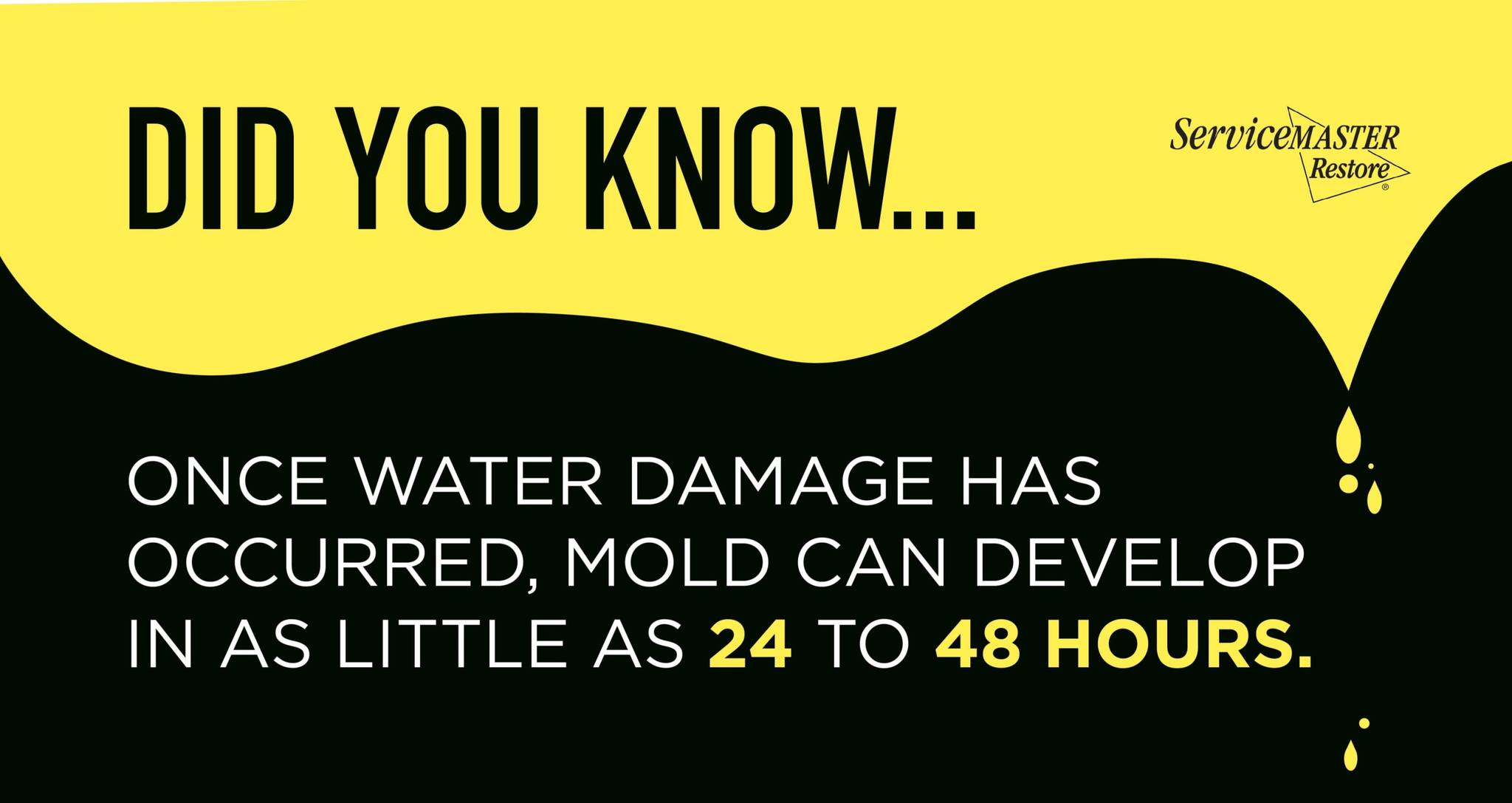 Advanced Drying & Restoration