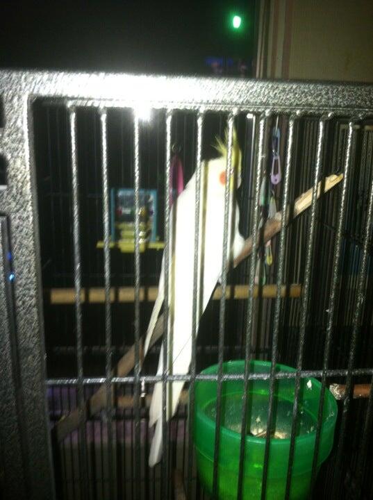 Joey's The Edge Export