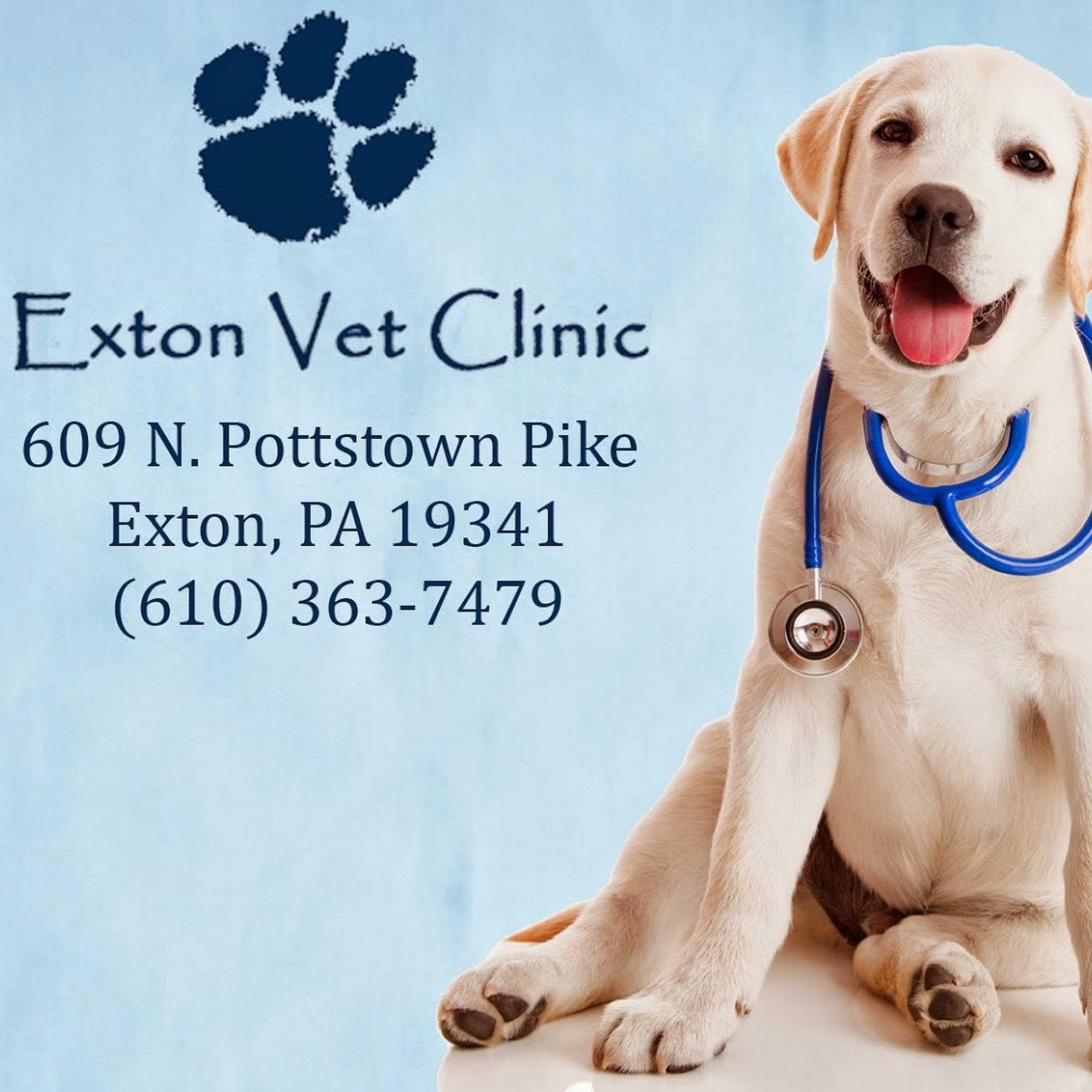 Exton Vet Clinic Exton