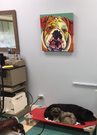 Cleopetra's Grooming Exton