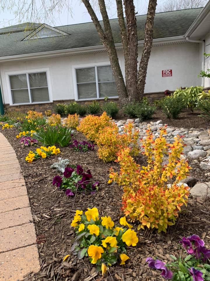 E.G. Rall Jr. Landscape Design/Build