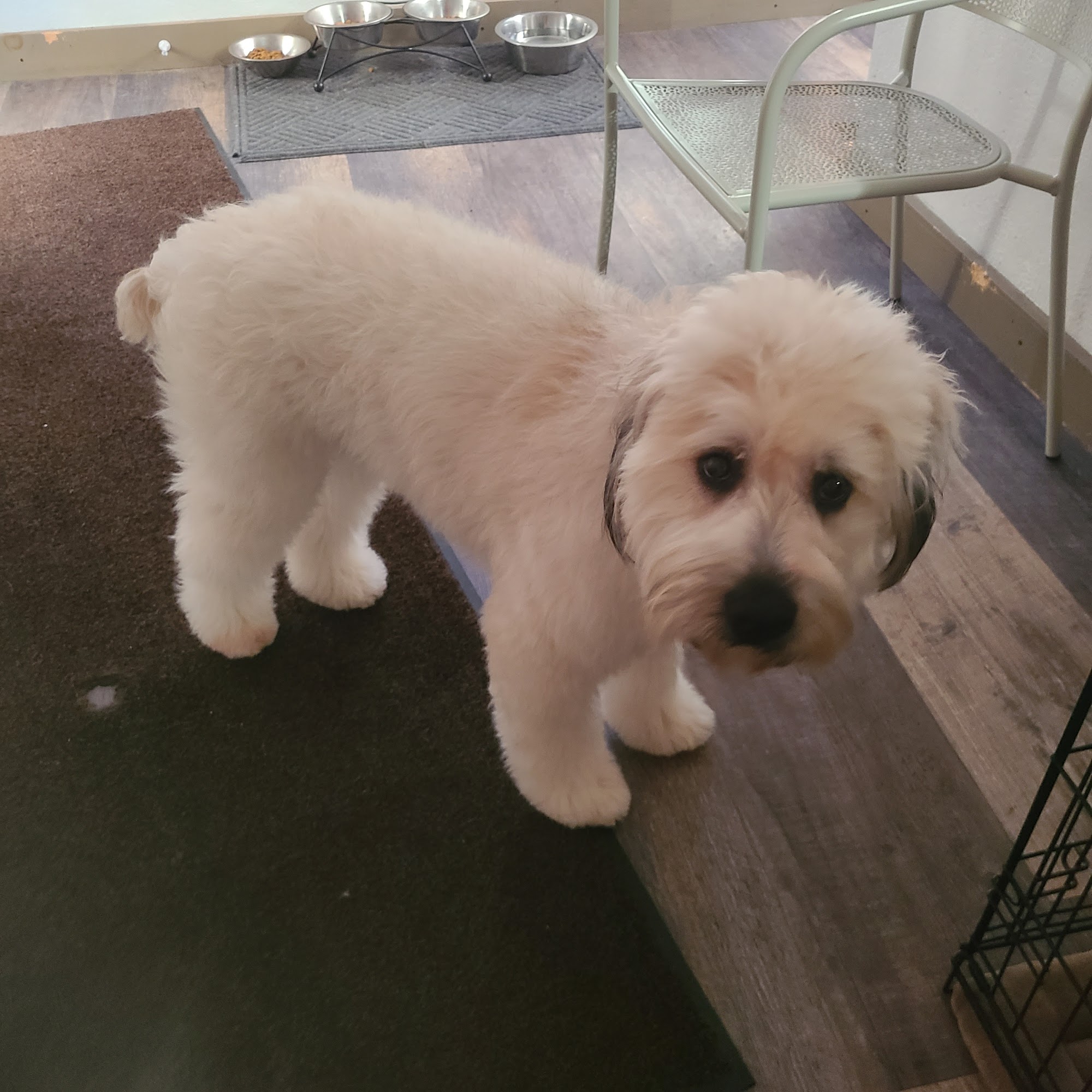 Bunker Hill Veterinary Hospital, PC Factoryville