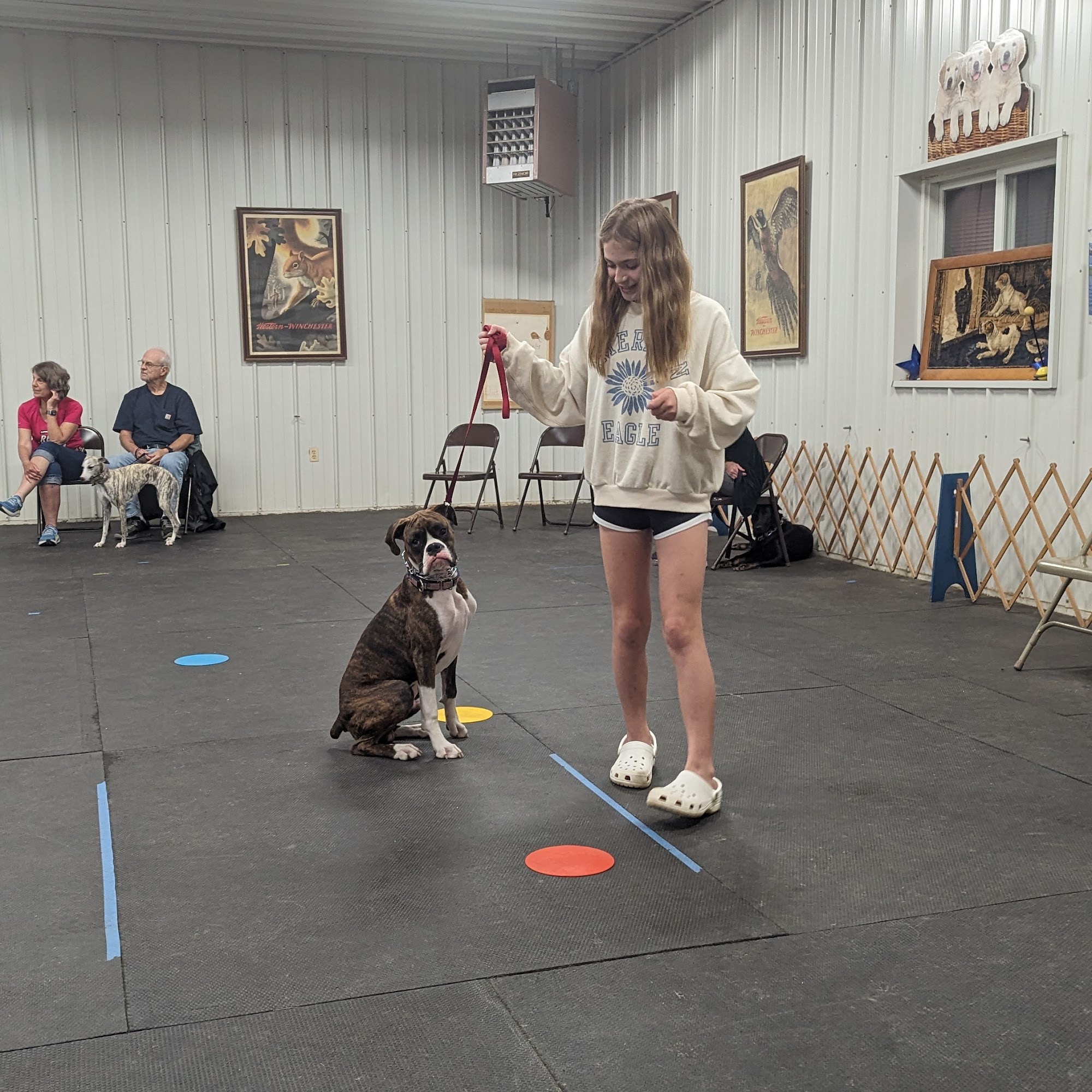 Blue Ridge K-9 Training Center Fairfield