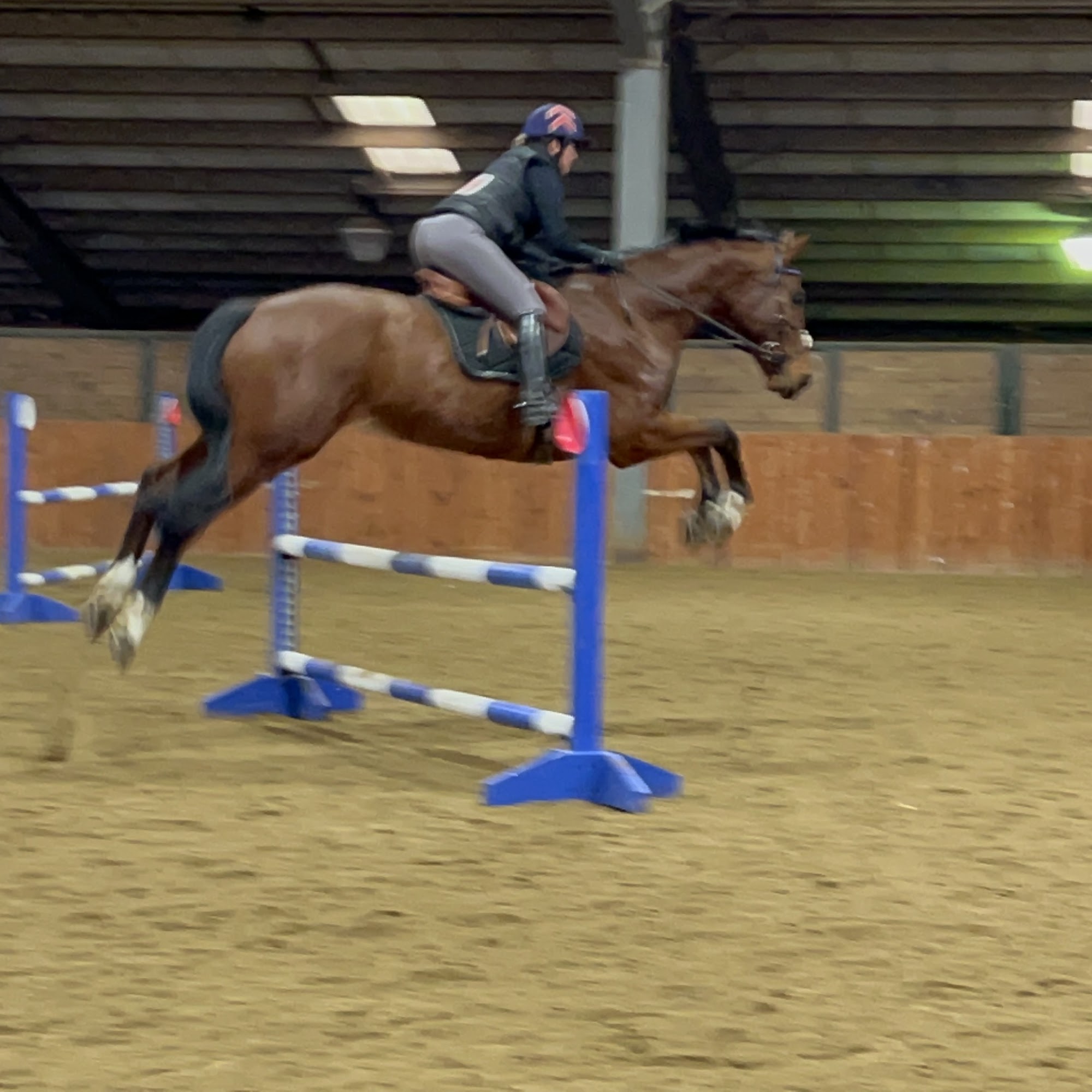 Trinity Equestrian Center Llc Fairview