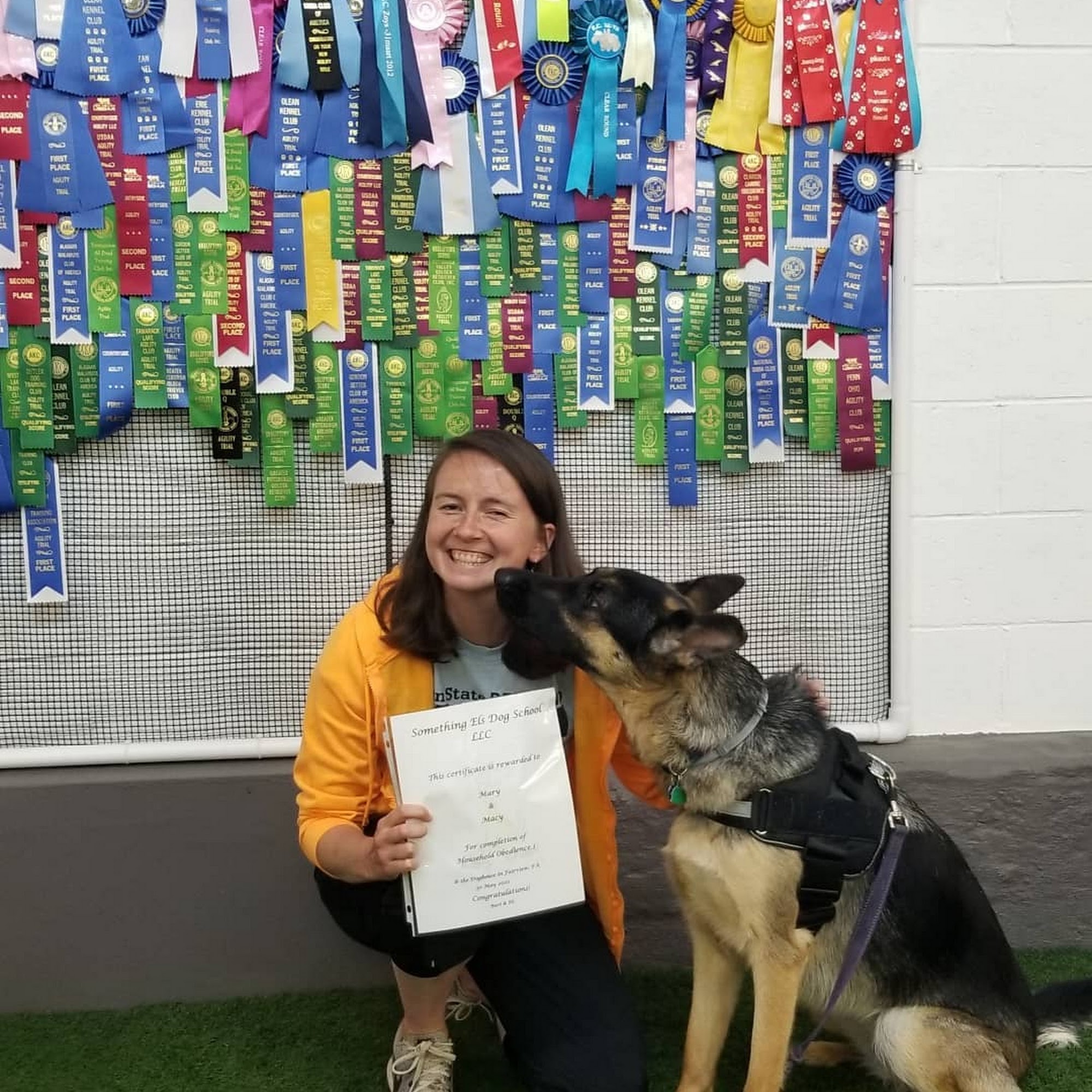 Something Els Dog School LLC Positive Reinforcement Dog Training Fairview