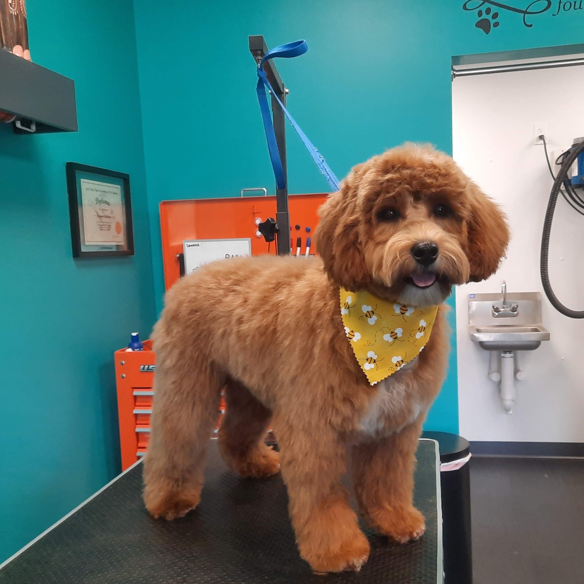 Bark Baths & Beyond Co Fairview