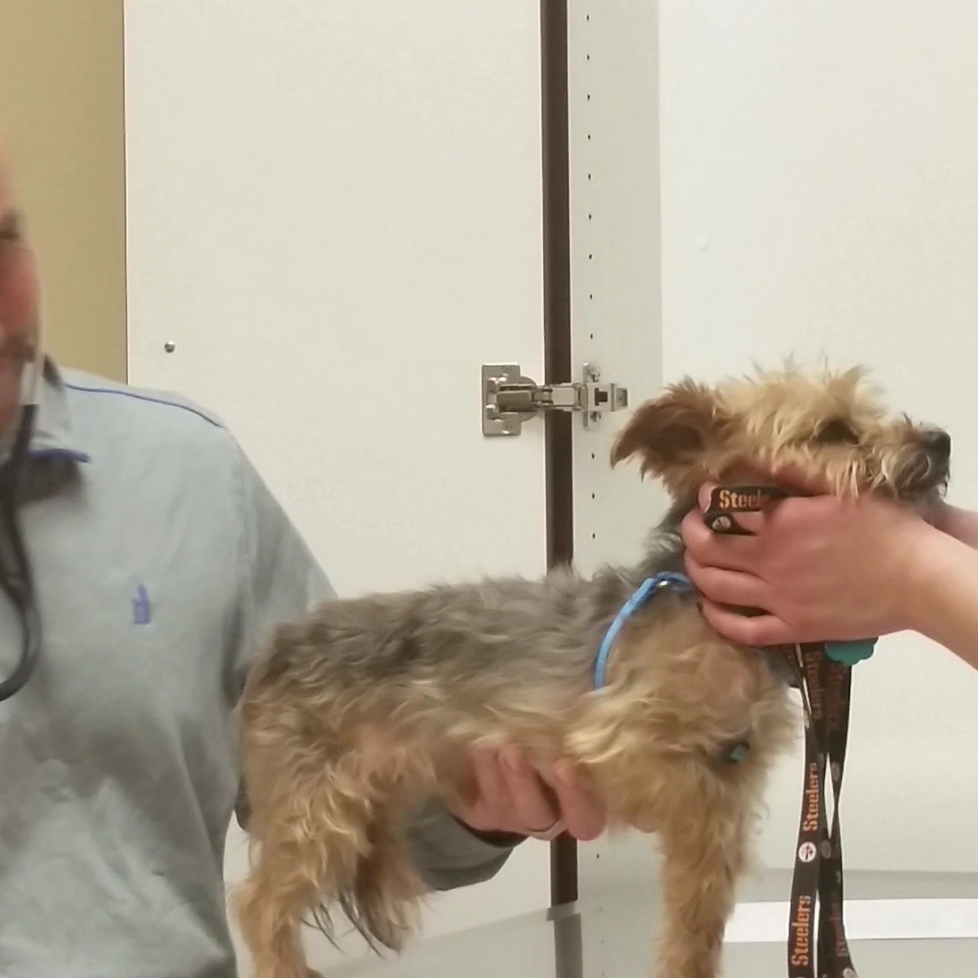 Affordable Care Vet Clinic Finleyville