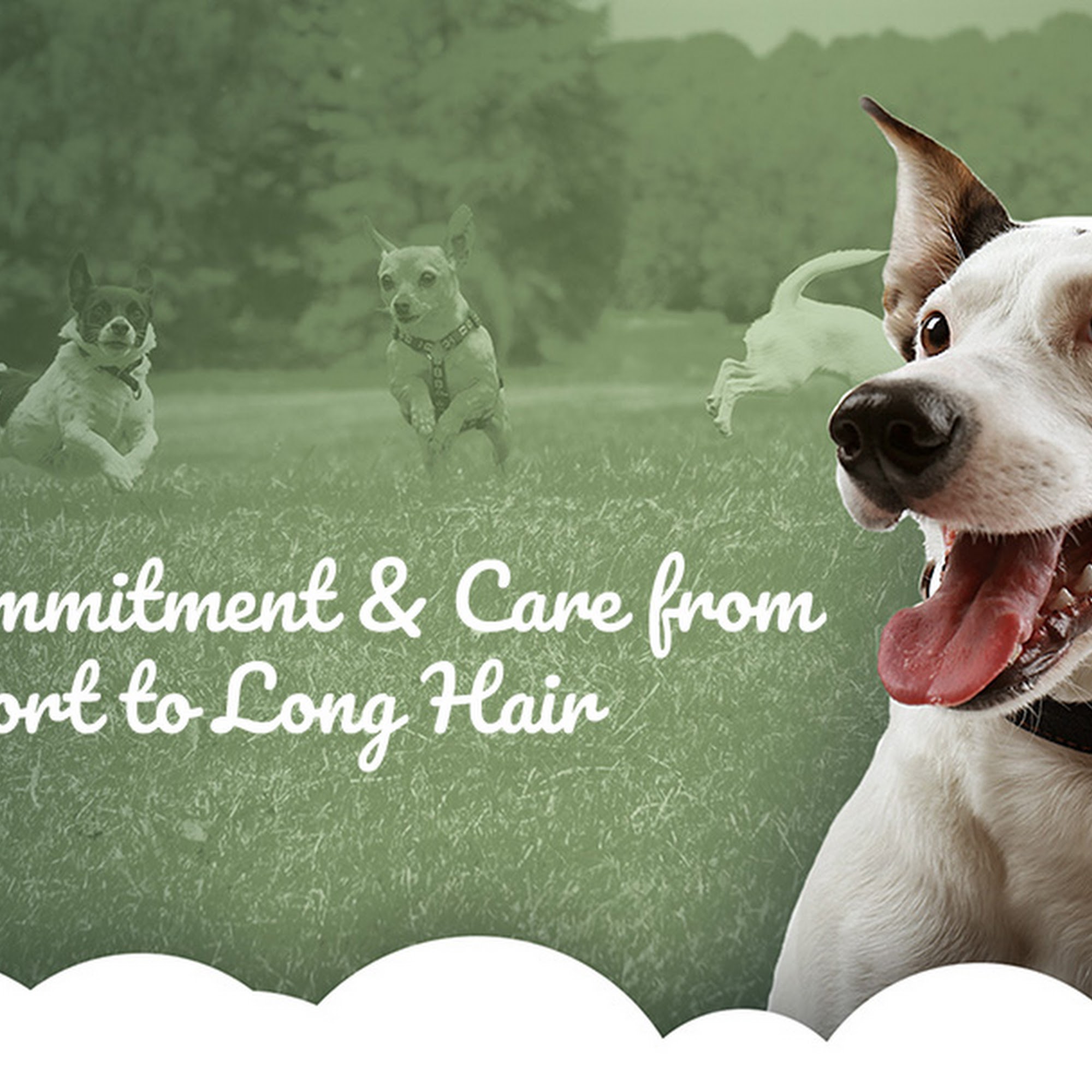 Fort Washington Veterinary Hospital Fort Washington