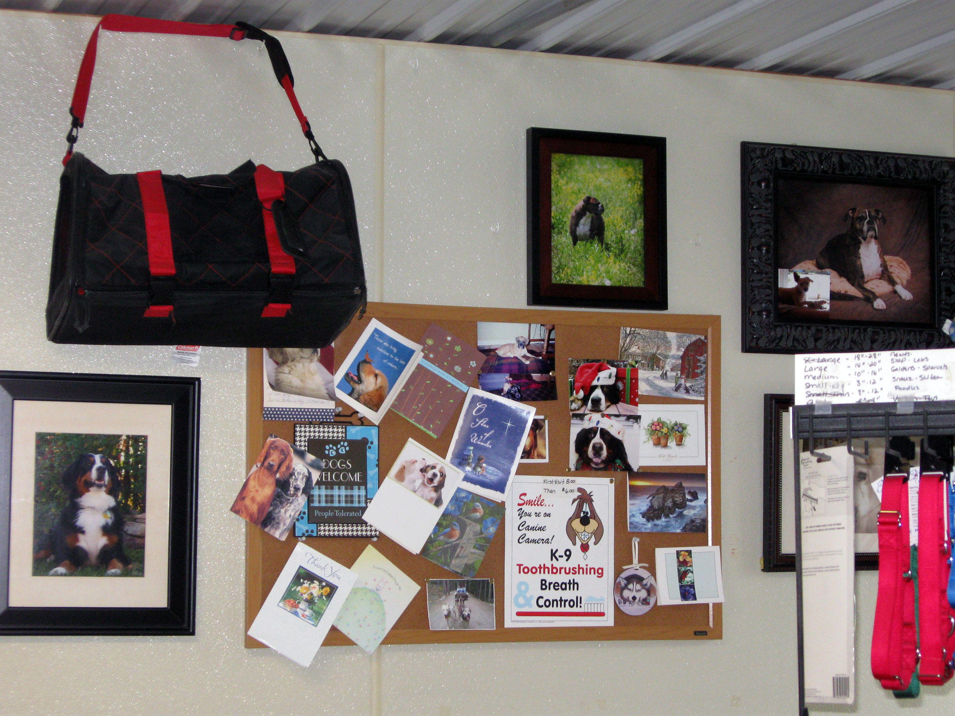 Dream On Acres Boarding Kennel Gettysburg