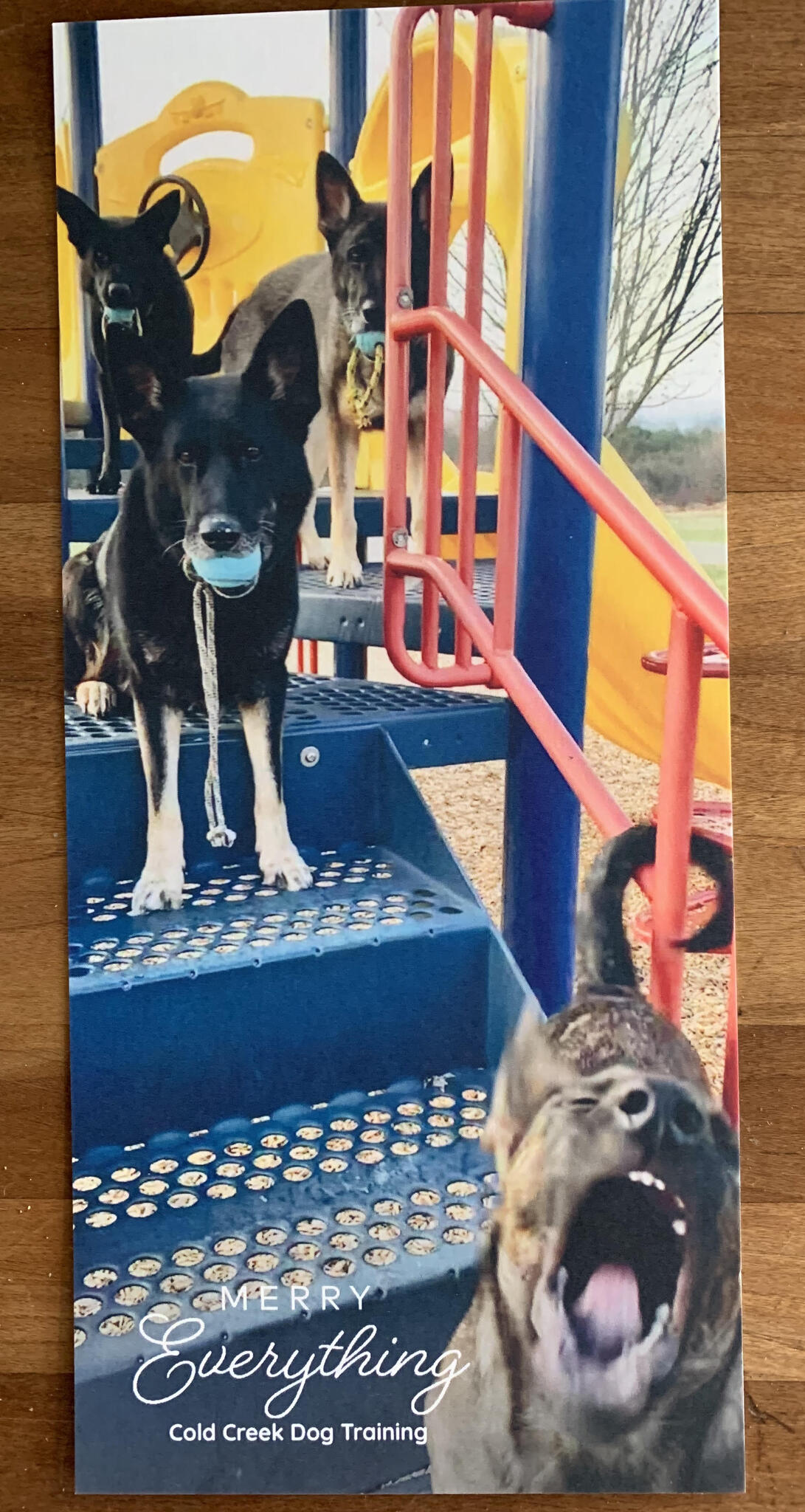 Photo credit: nextdoor