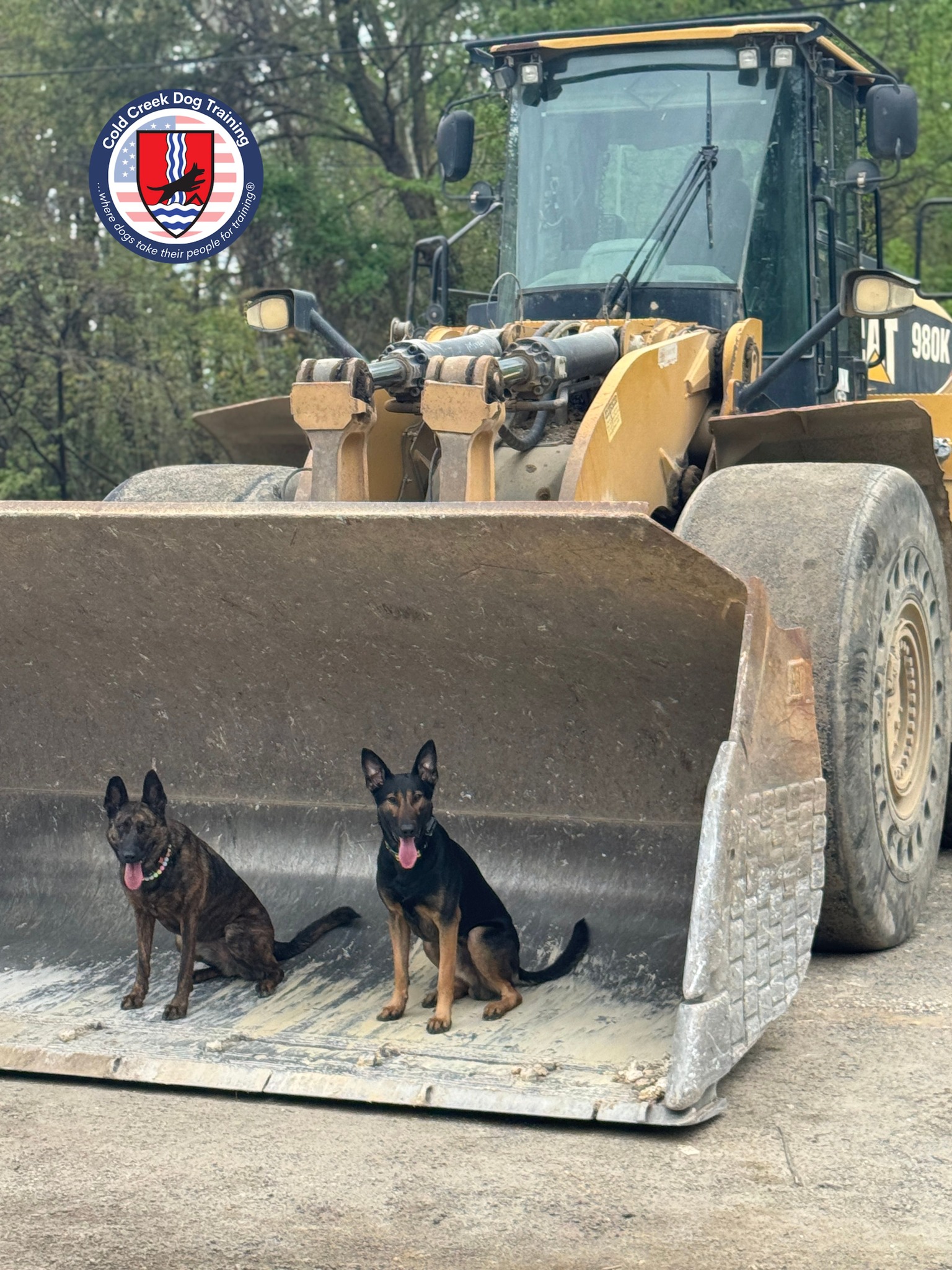 Cold Creek Dog Training Gettysburg