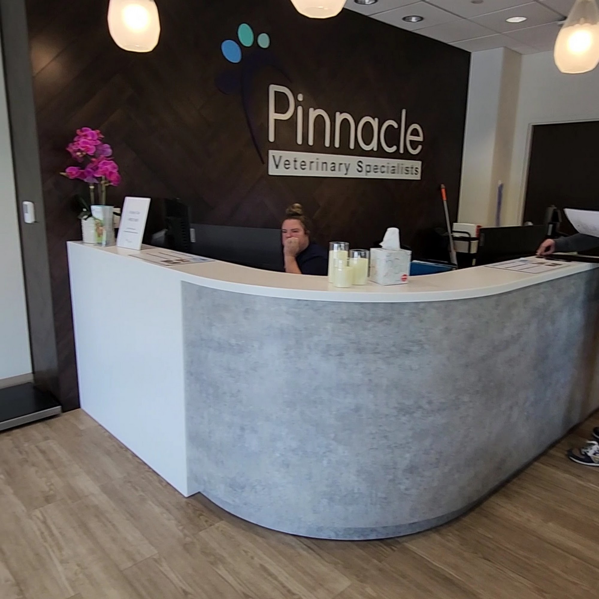 Pinnacle Veterinary Specialists Glen Mills