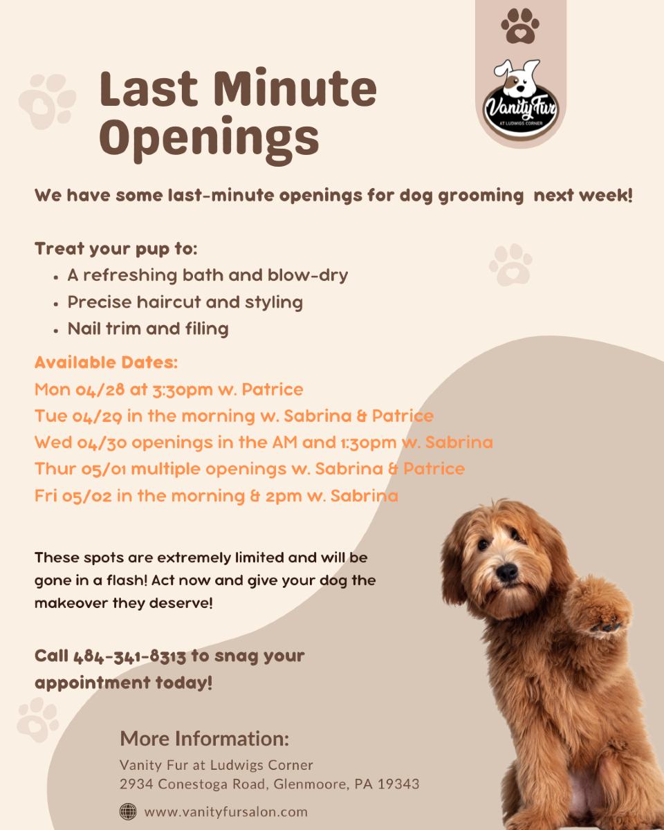 Vanity Fur at Ludwigs Corner Glenmoore