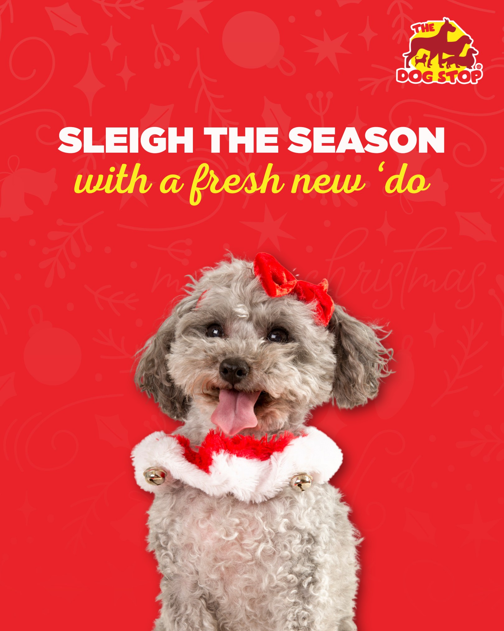 The Dog Stop - Allison Park, PA Glenshaw