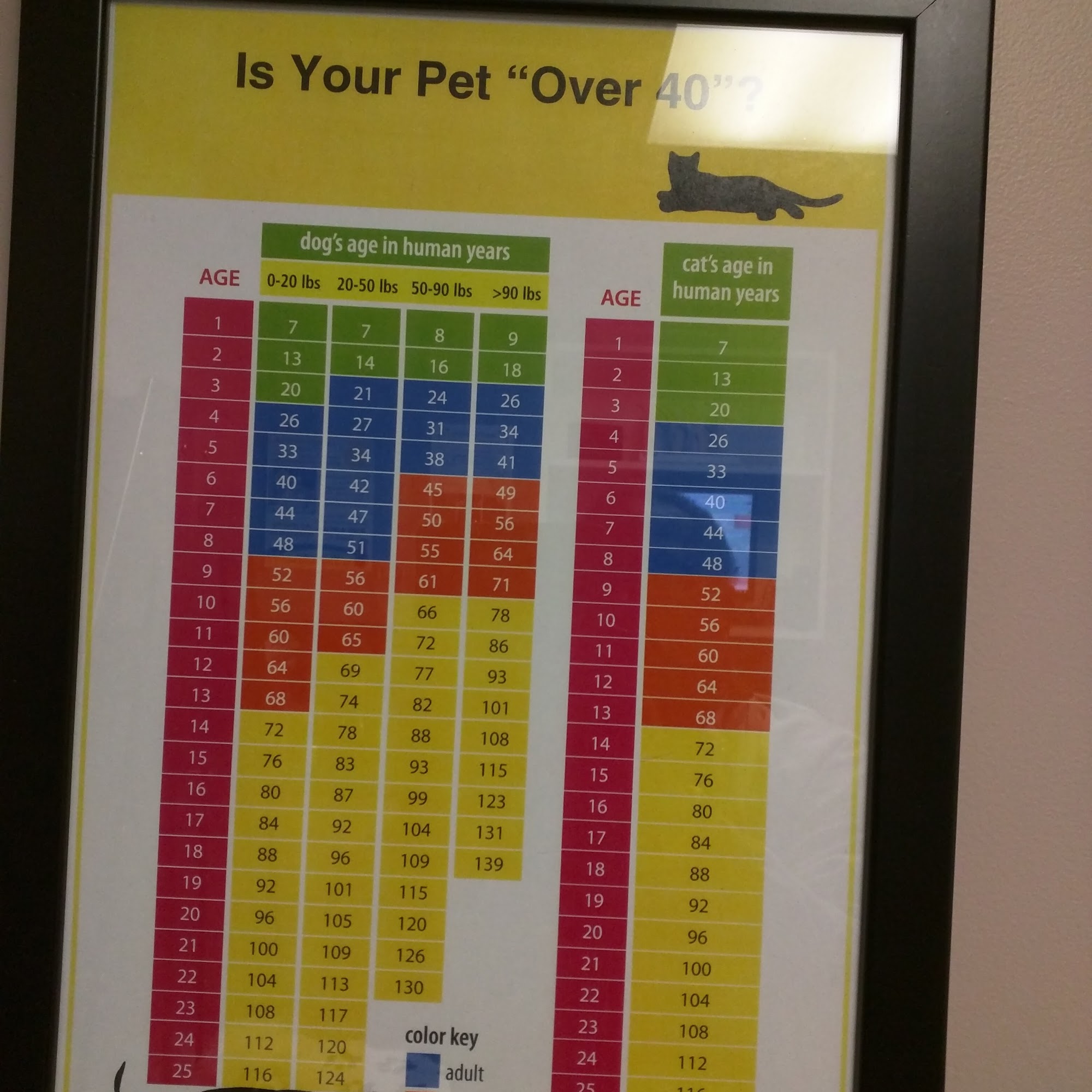 Rau Animal Hospital Glenside