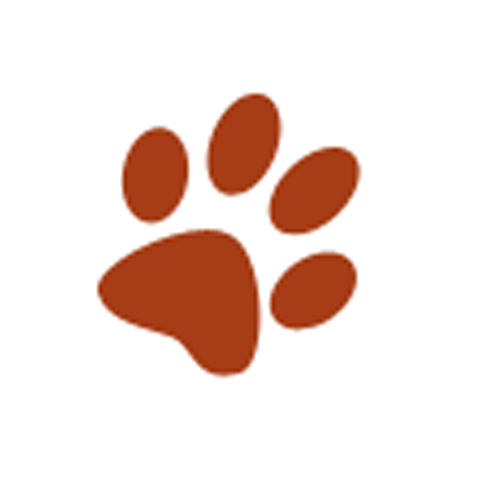 K 9 Dog Grooming Goldsboro