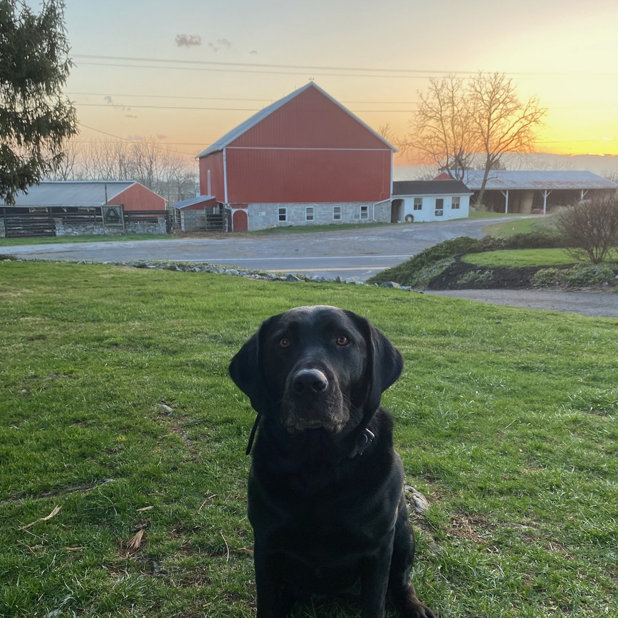 Greencastle Veterinary Hospital Greencastle