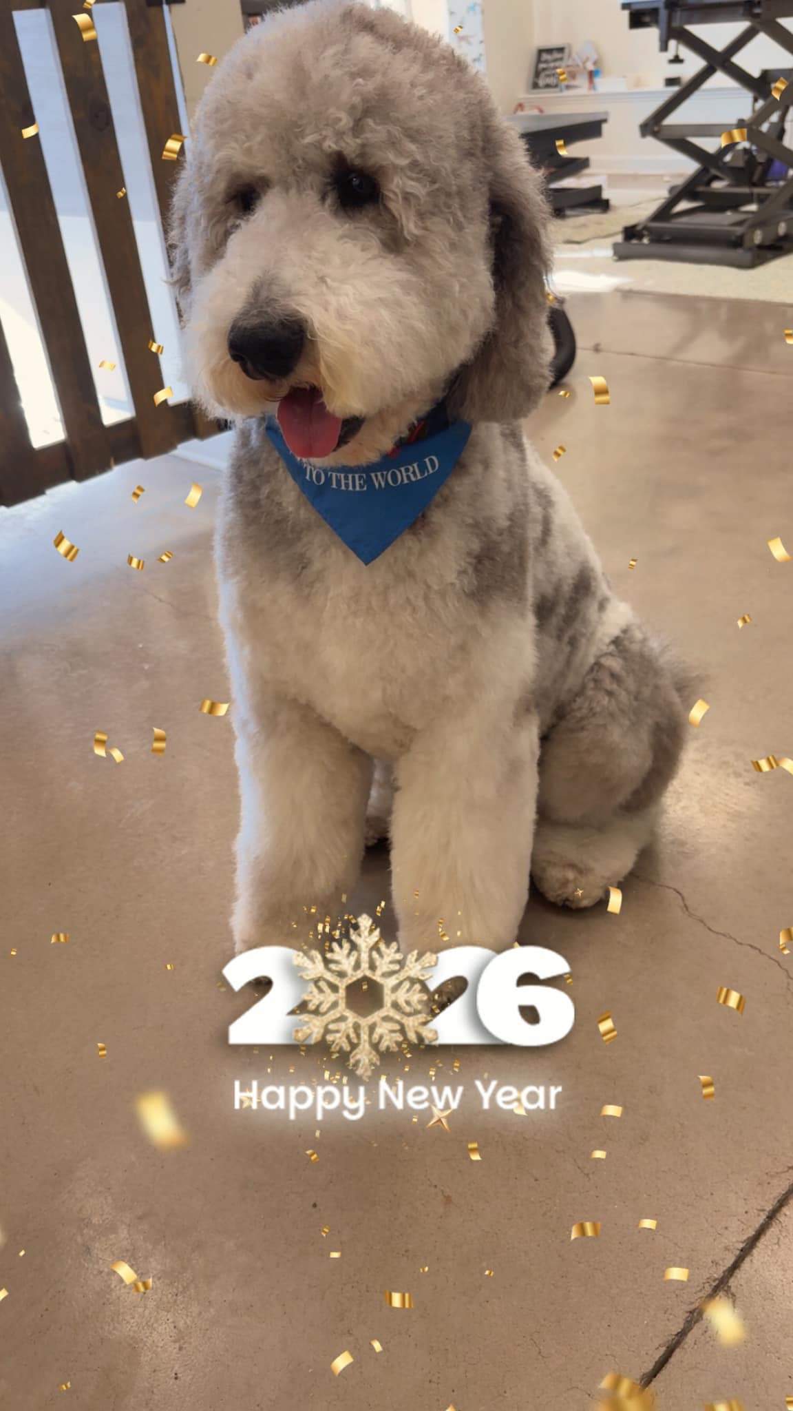 Sophisti Cuts Pet Grooming Greencastle