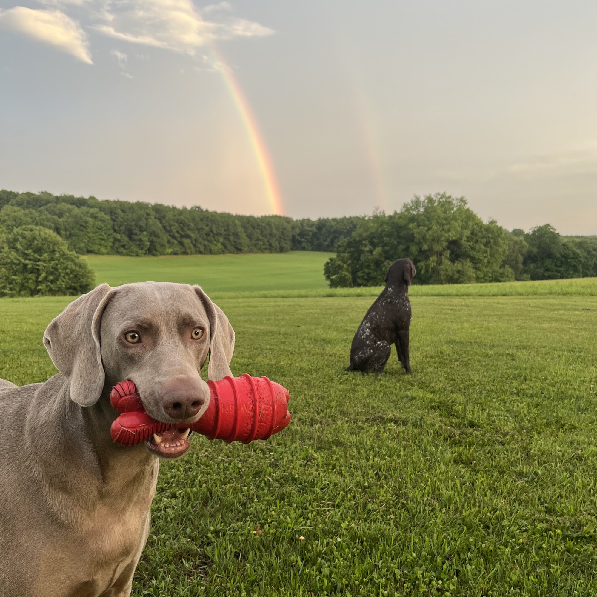 Orchard Creek Veterinary Hospital Grove City