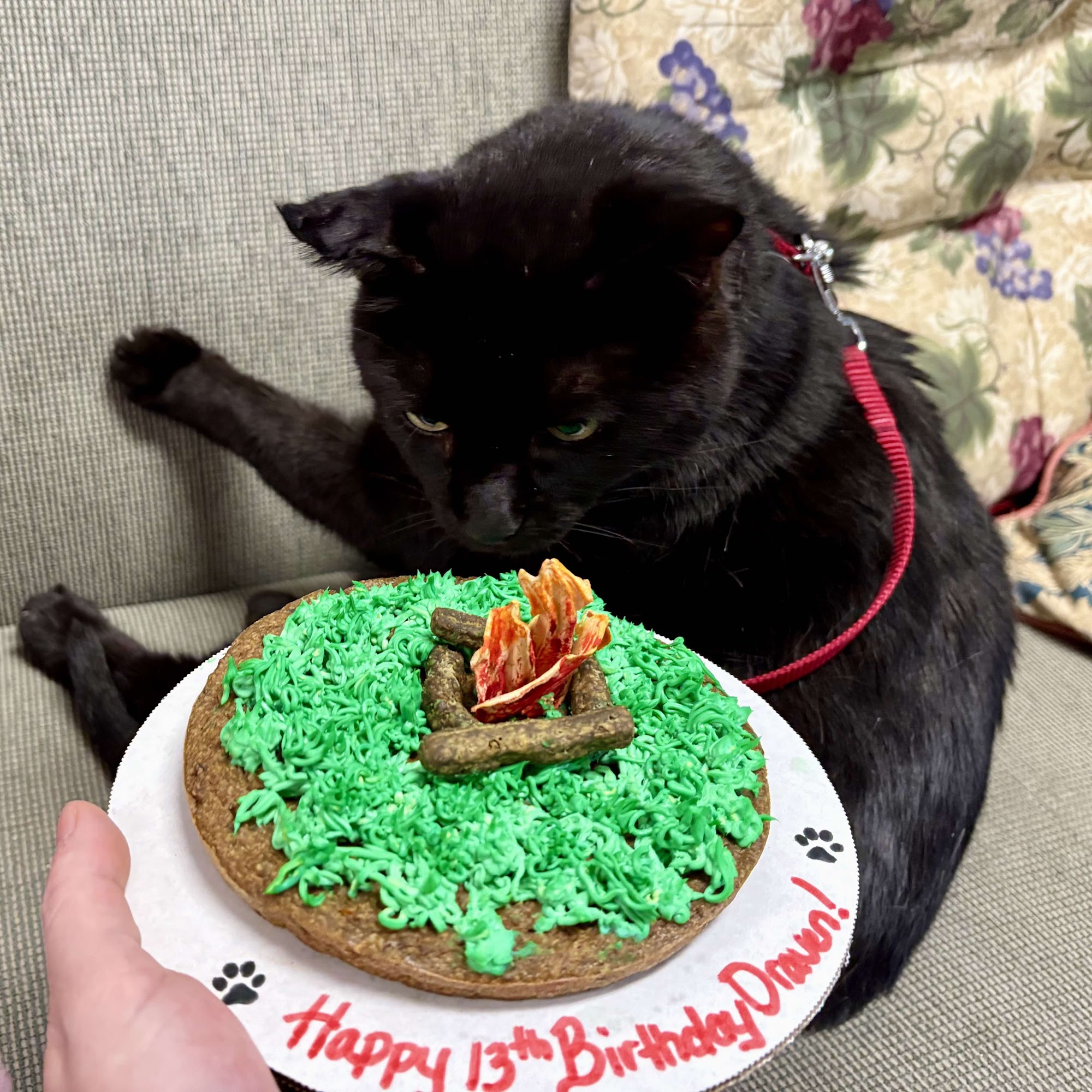 K-9 Confections LLC Grove City