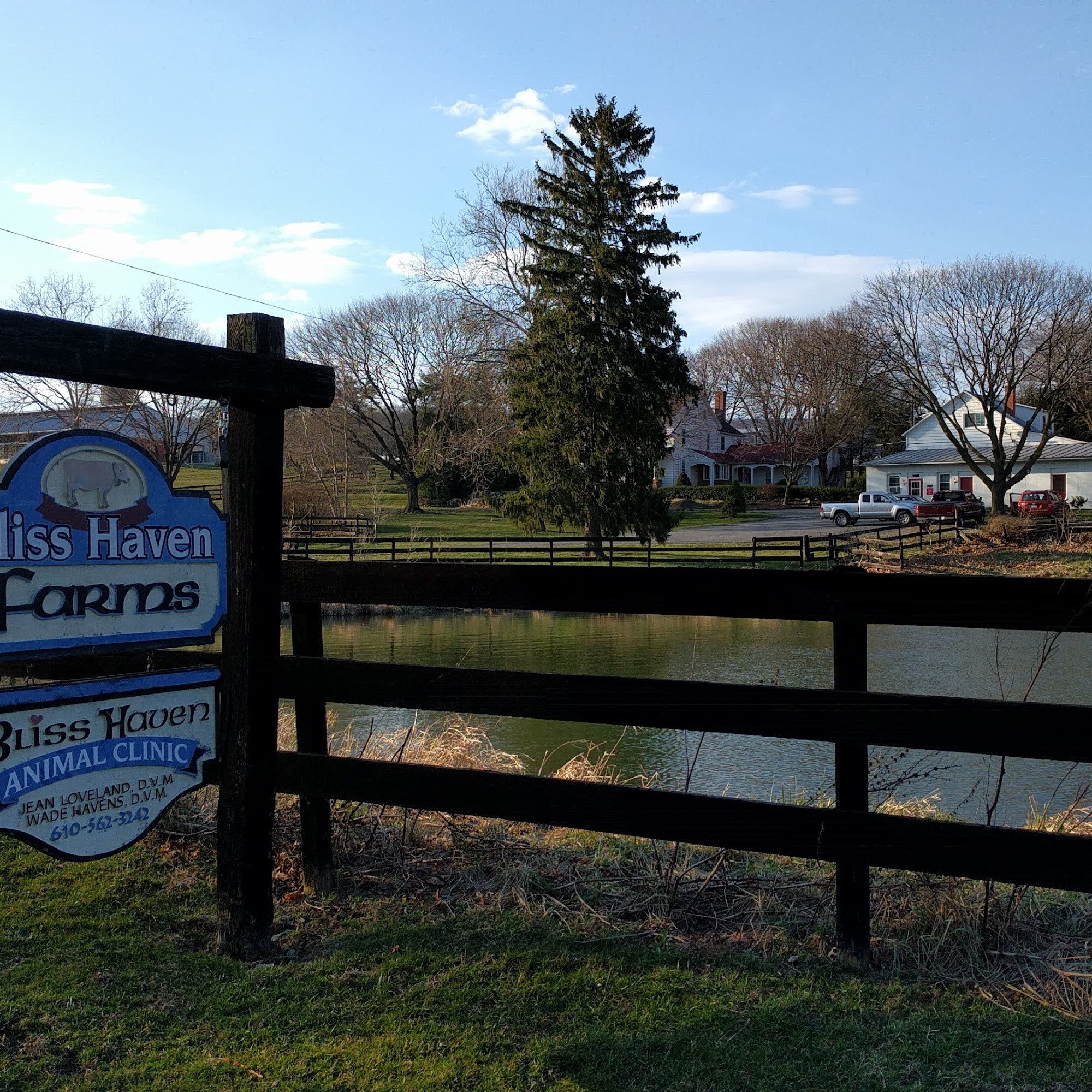 Bliss Haven Animal Clinic Hamburg