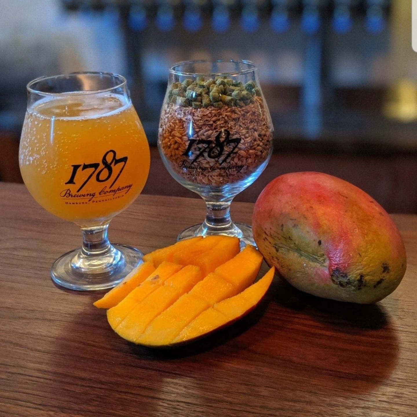 1787 Brewing Company Hamburg