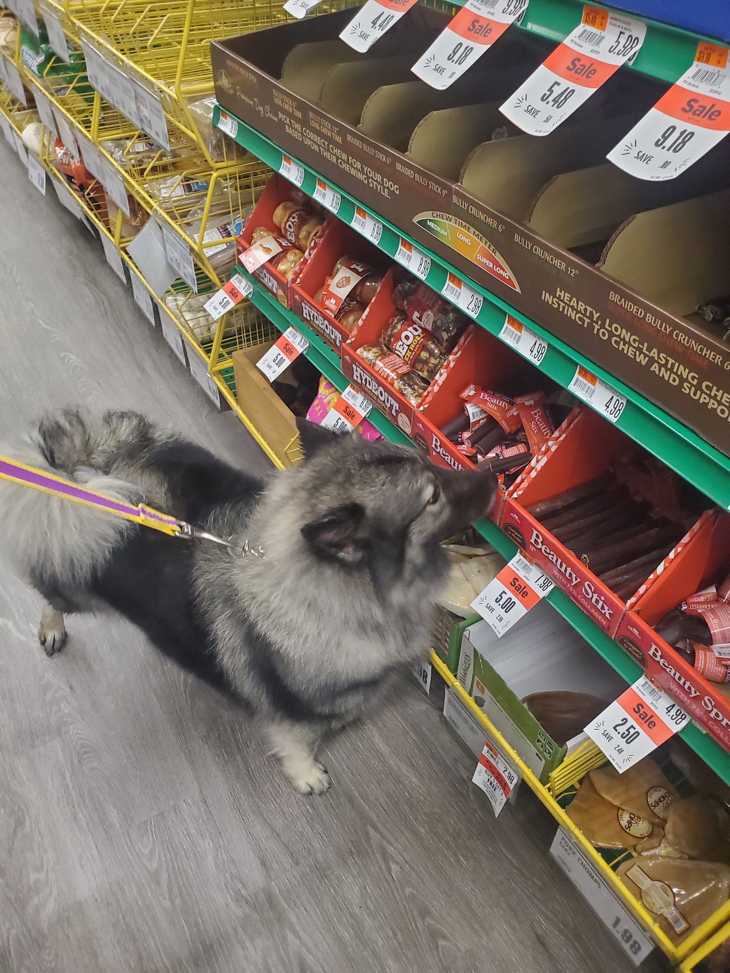 Pet Supplies Plus Hamburg Hamburg