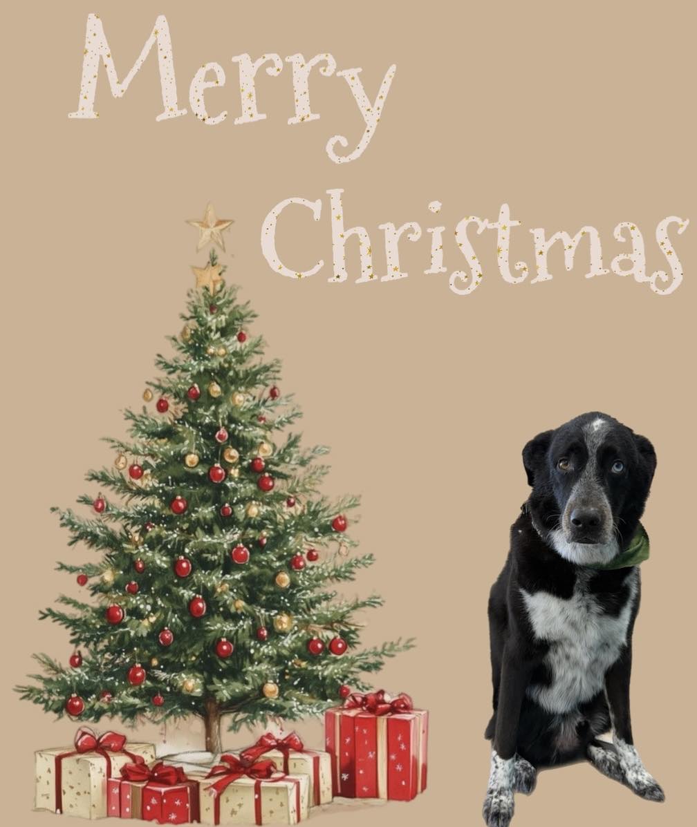 Paw Parlor LLC Hanover