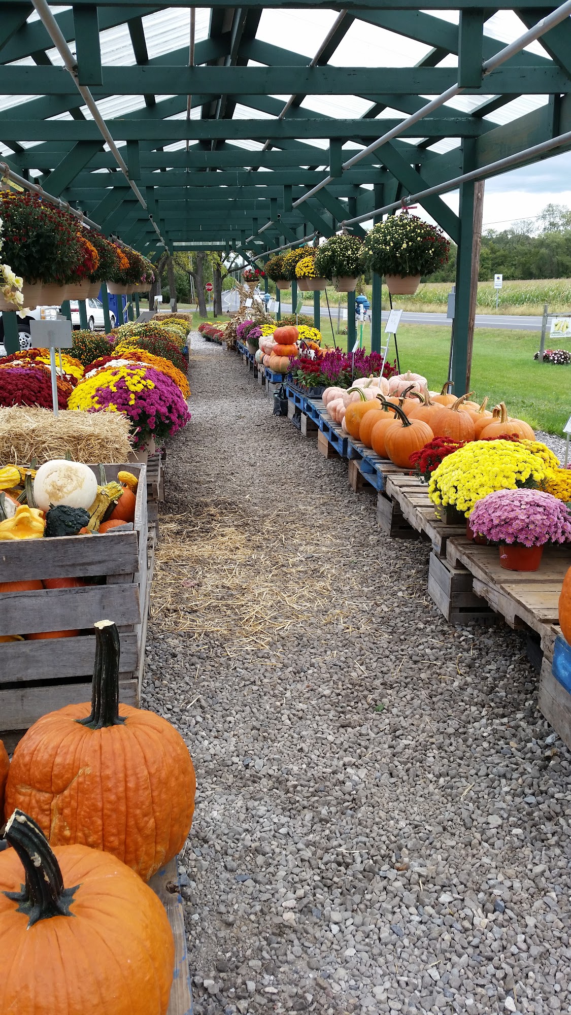 Fresh and Flavorful Market Hanover