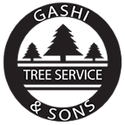 Gashi & Sons
