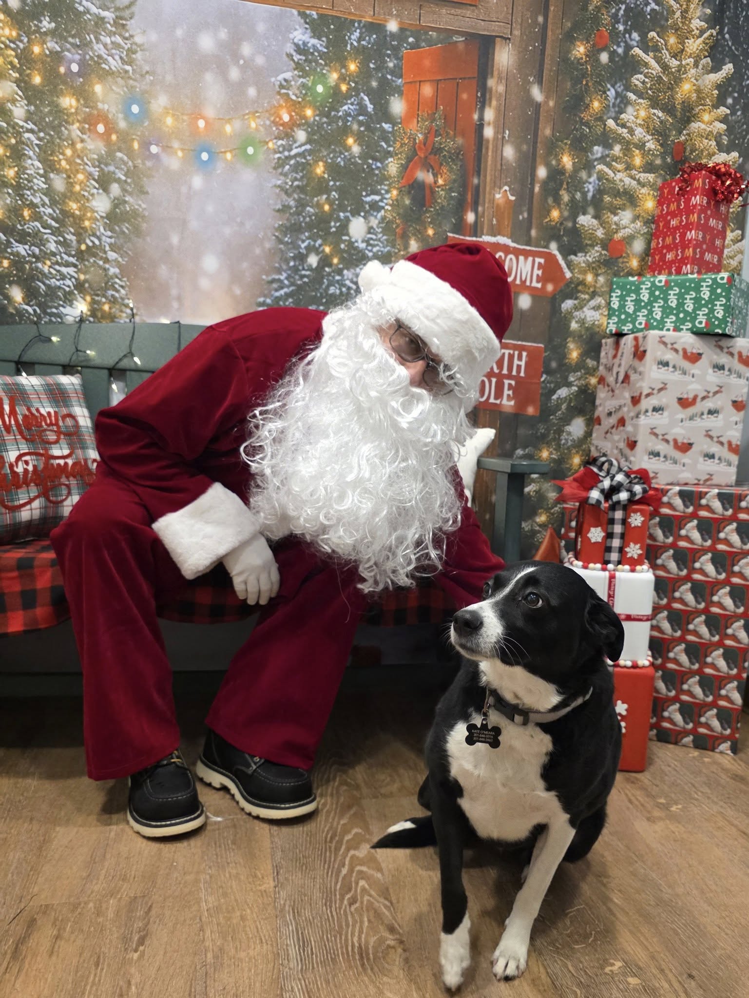 Pets in Harmony Pet Salon Harmony