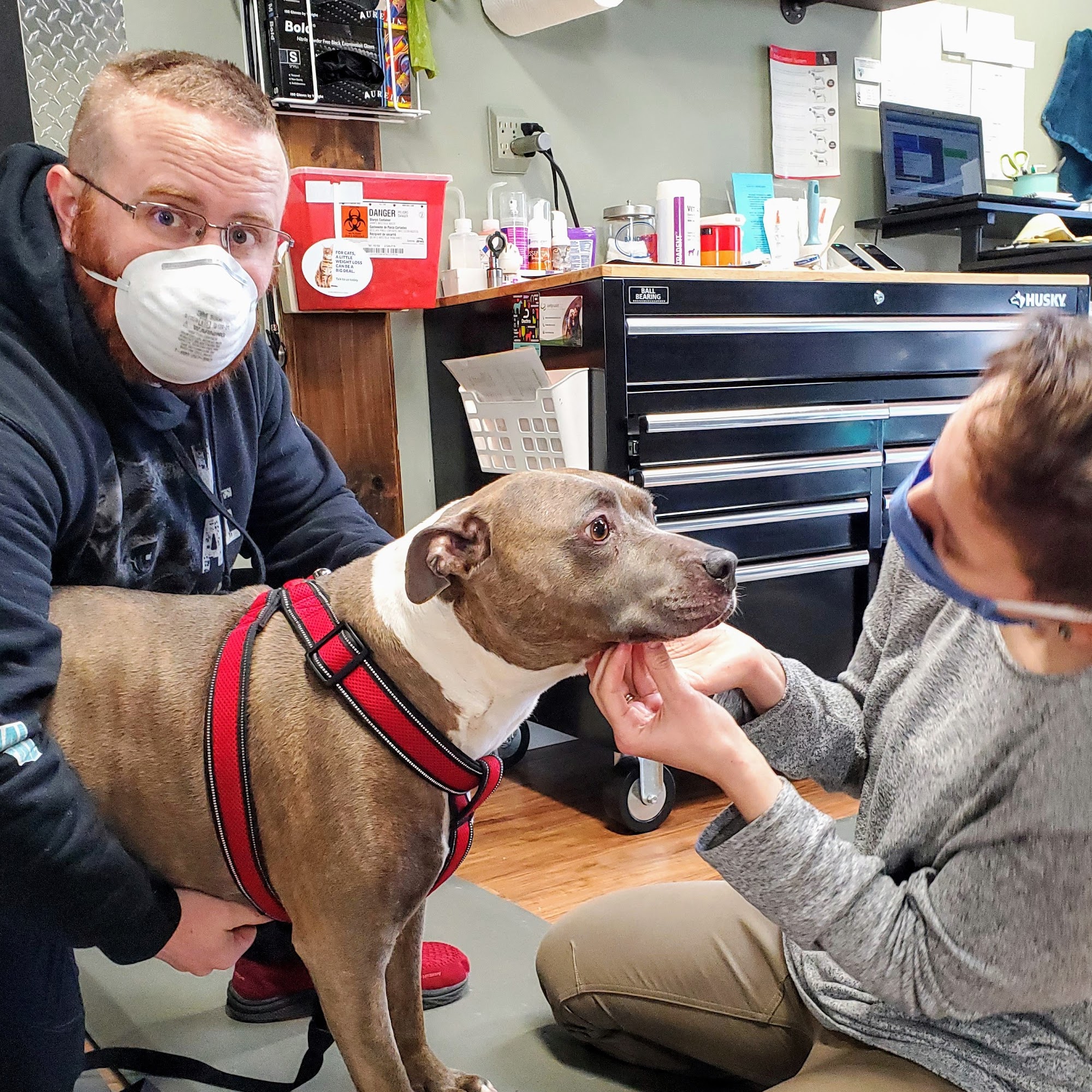 Derry Animal Hospital Harrisburg