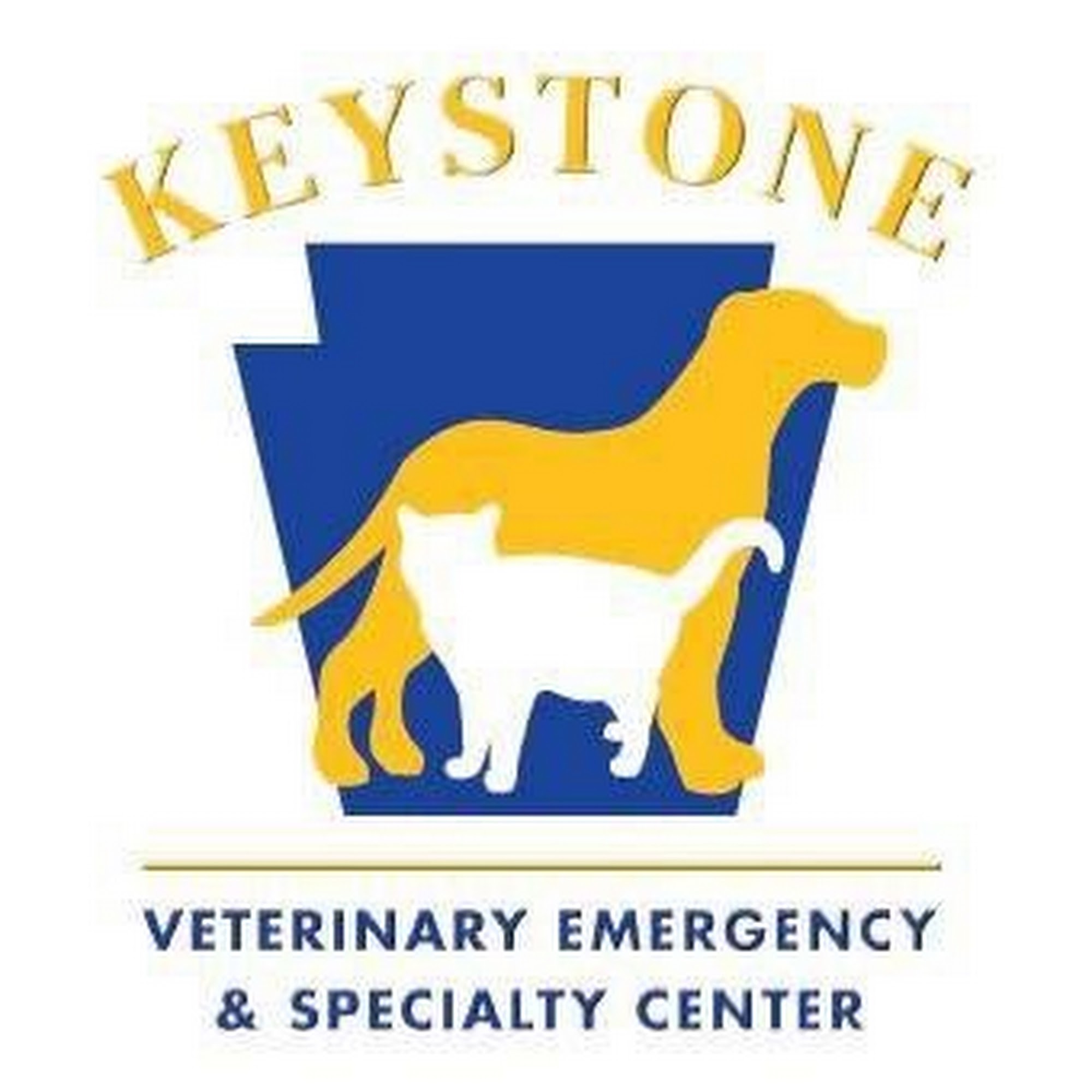 Keystone Veterinary Emergency & Referral, A Thrive Pet Healthcare Partner Havertown