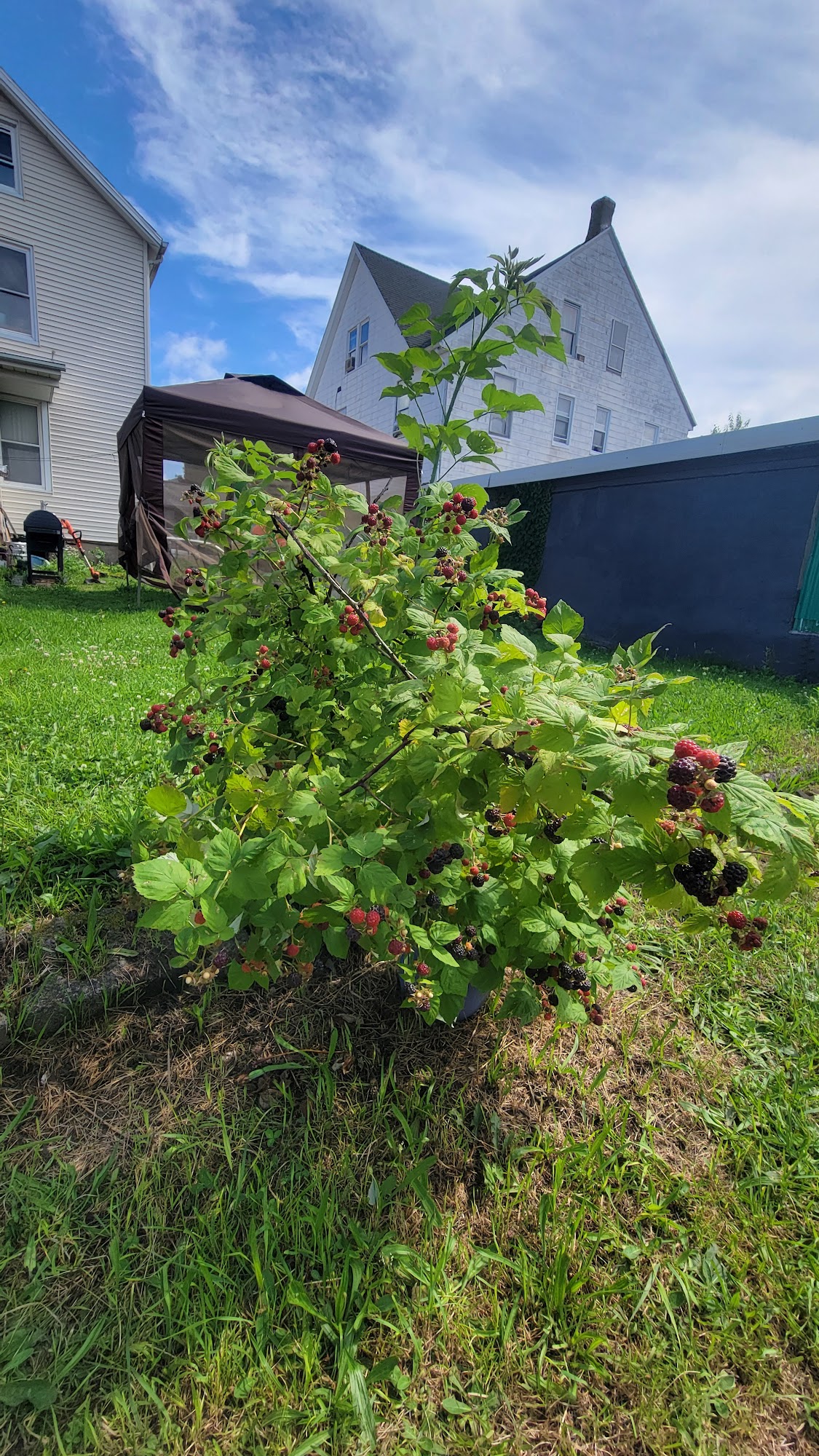 STATION33TROPICAL Menu