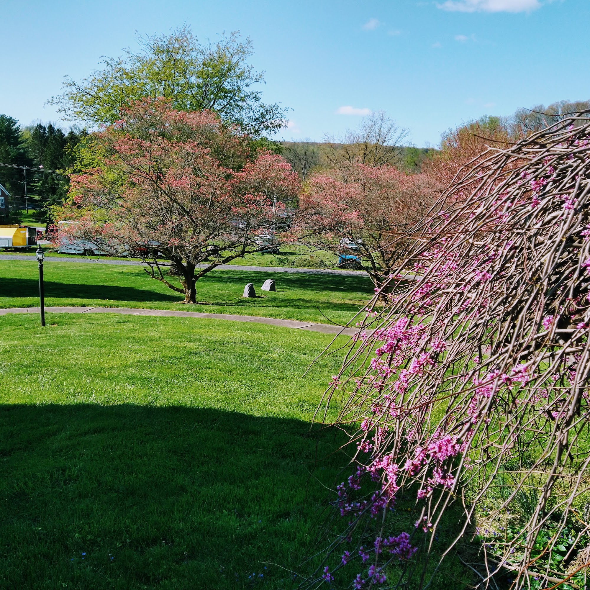 Saucon Valley Animal Hospital Hellertown