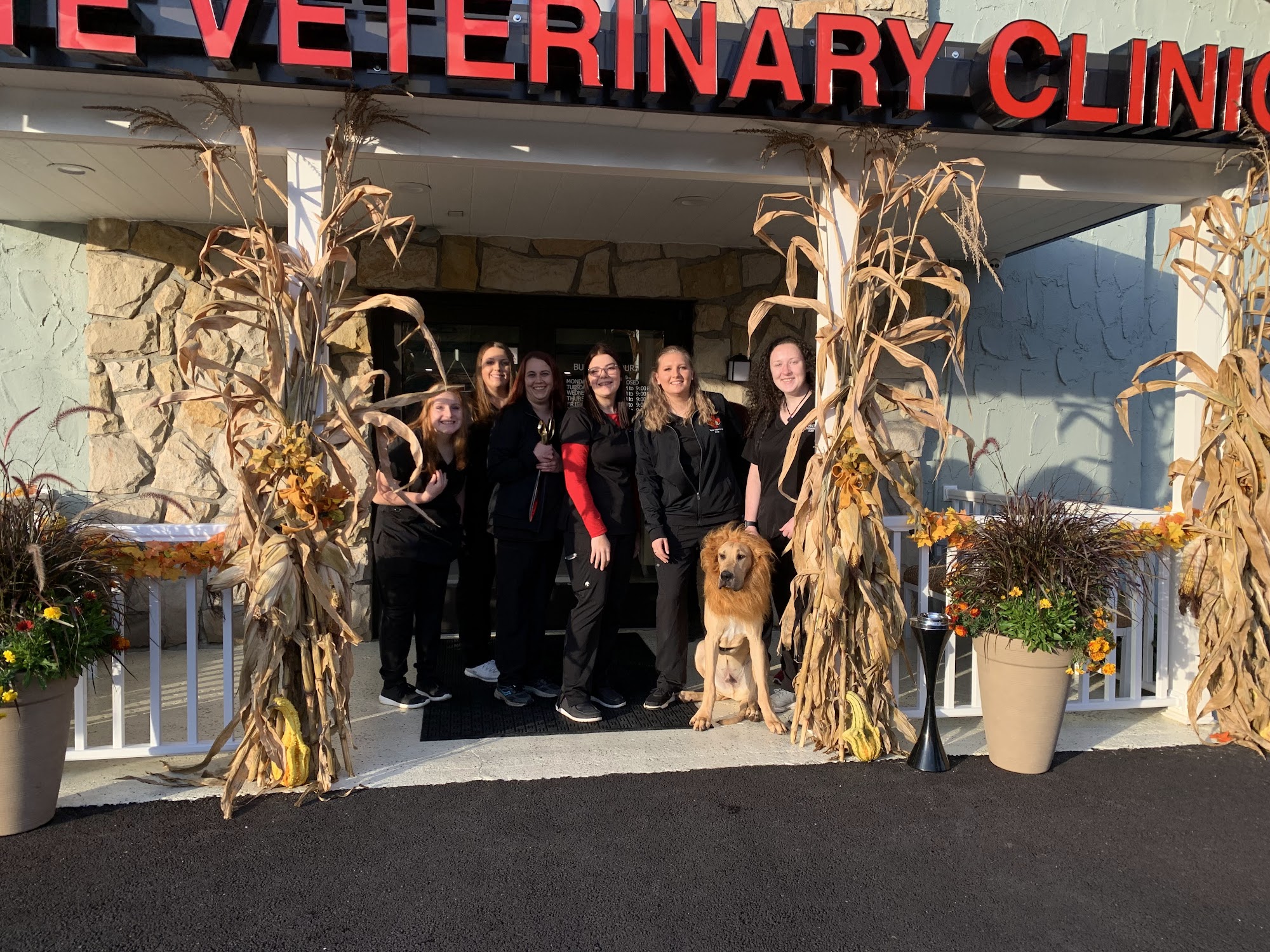 Fette Veterinary Clinic Hermitage