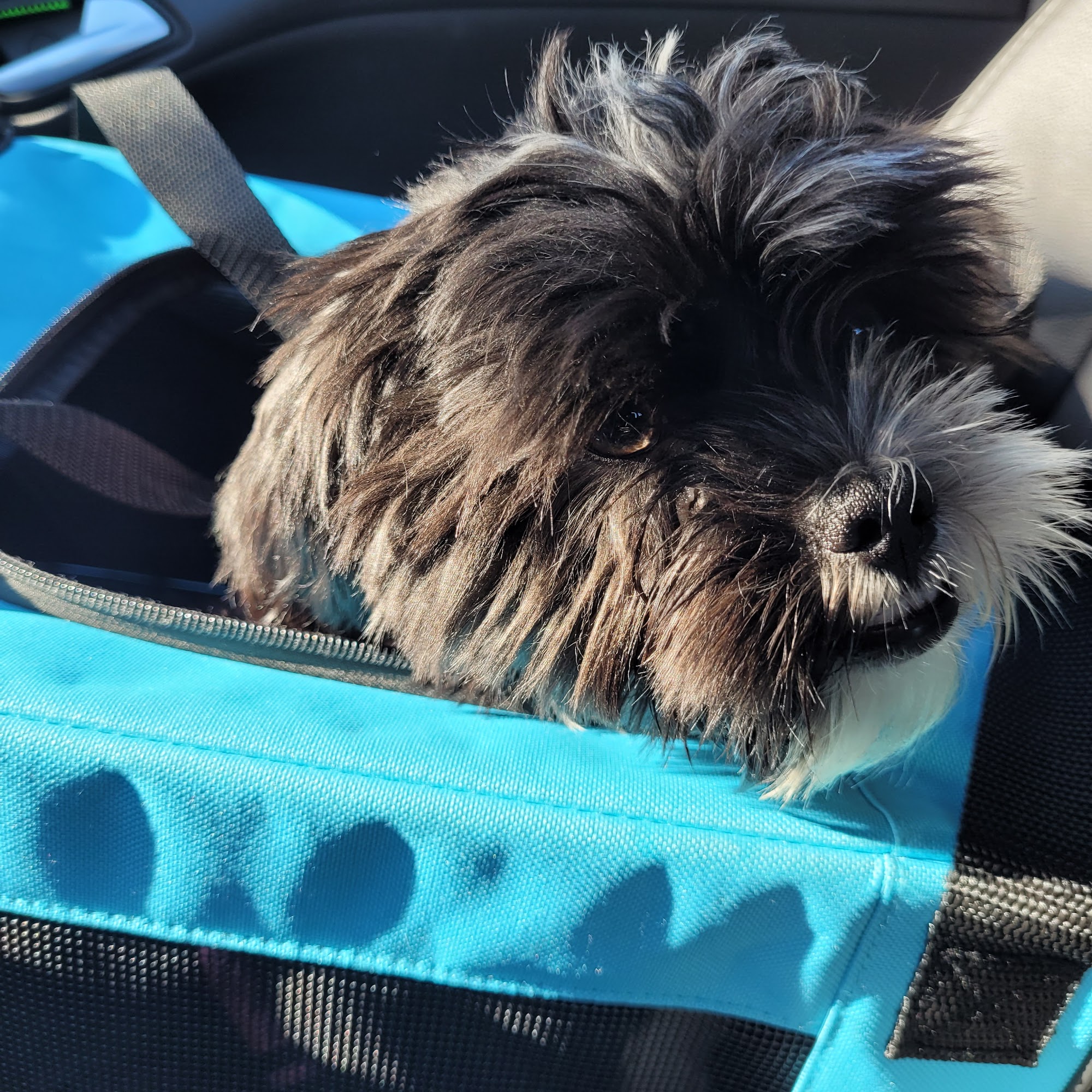 Mimnagh Edward M DVM Hershey