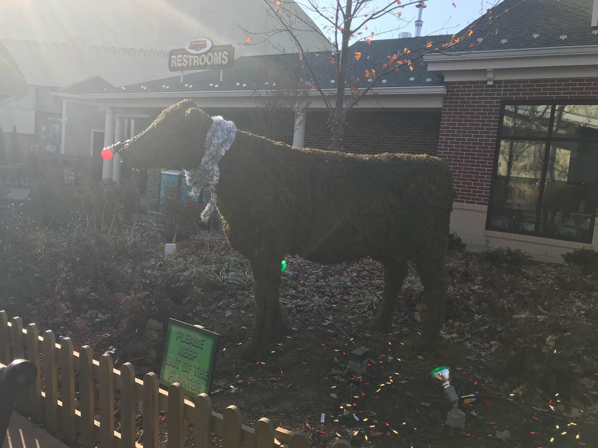 Photo credit: nextdoor