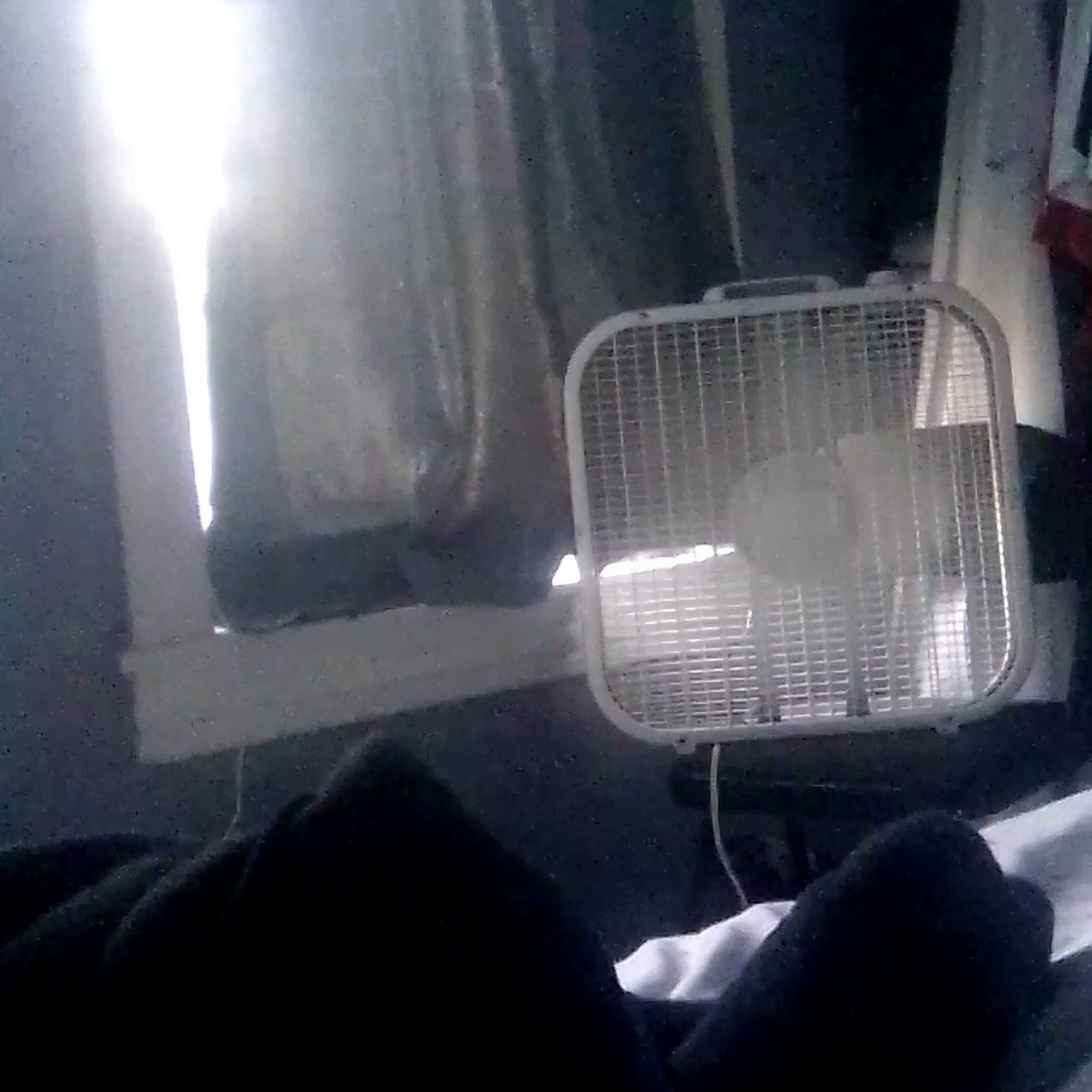 Honey Brook Animal Hospital Honey Brook