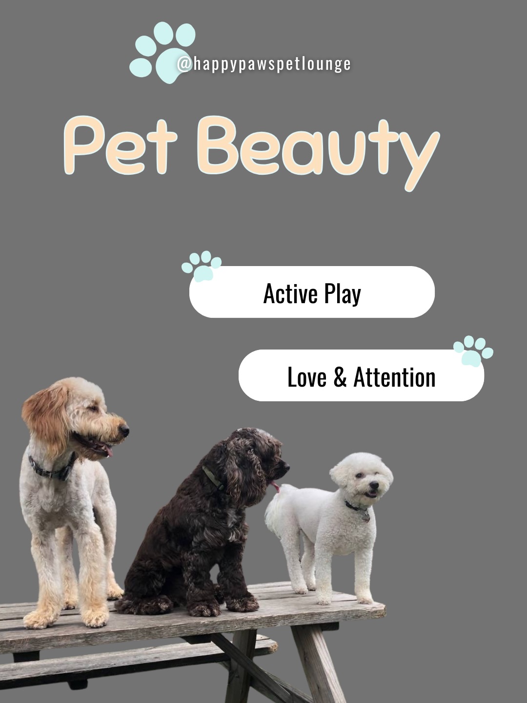 Happy Paws Pet Lounge Huntingdon Valley