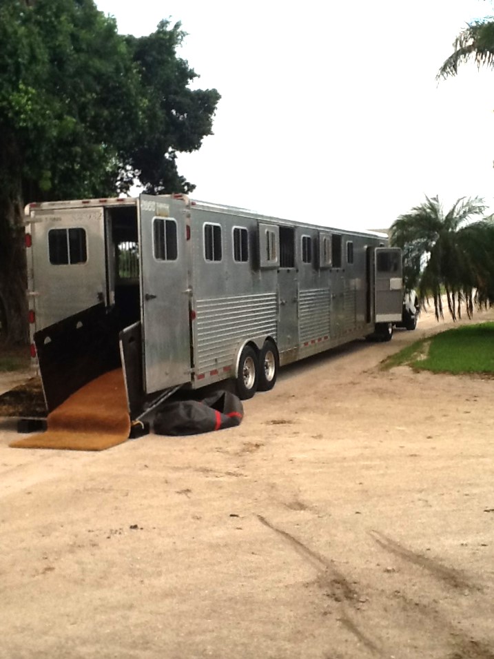 Convenience Transport. Horse Transportation Service. Huntingdon
