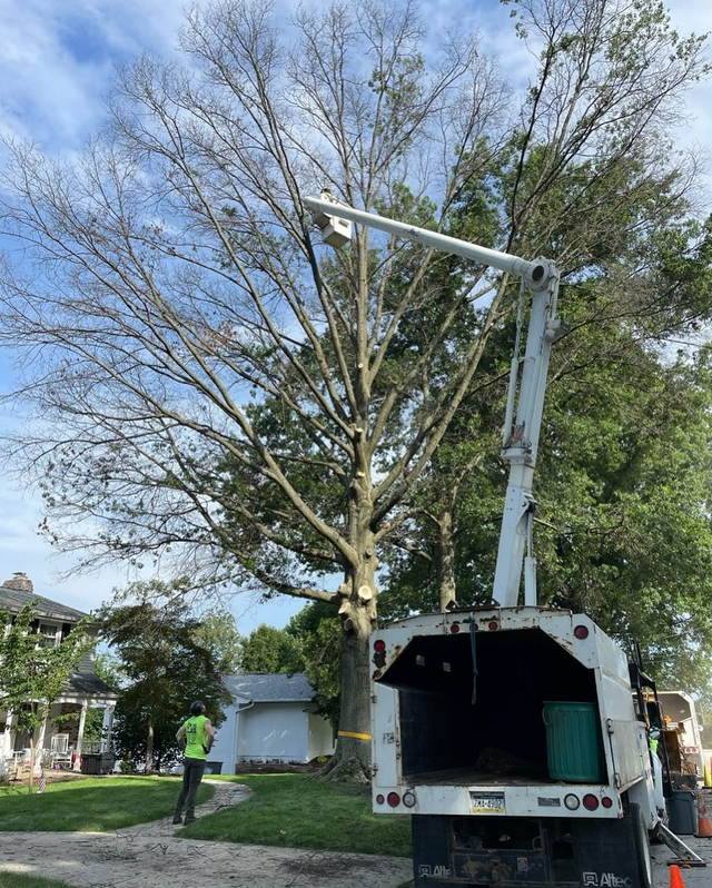 Photo credit: nextdoor