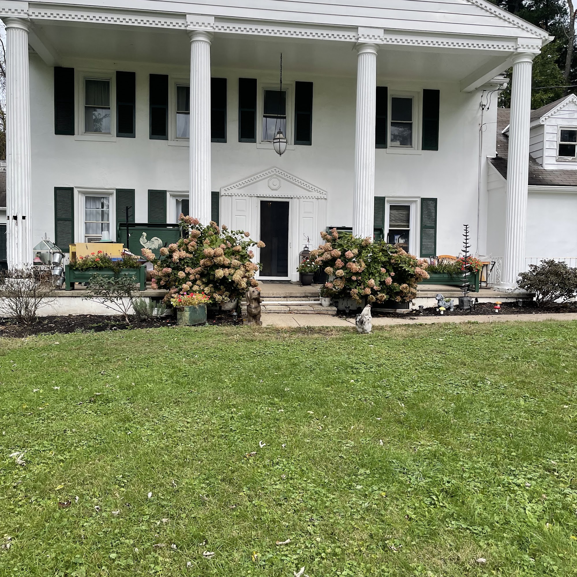 Mutt Manor Dog Resort Imperial Imperial