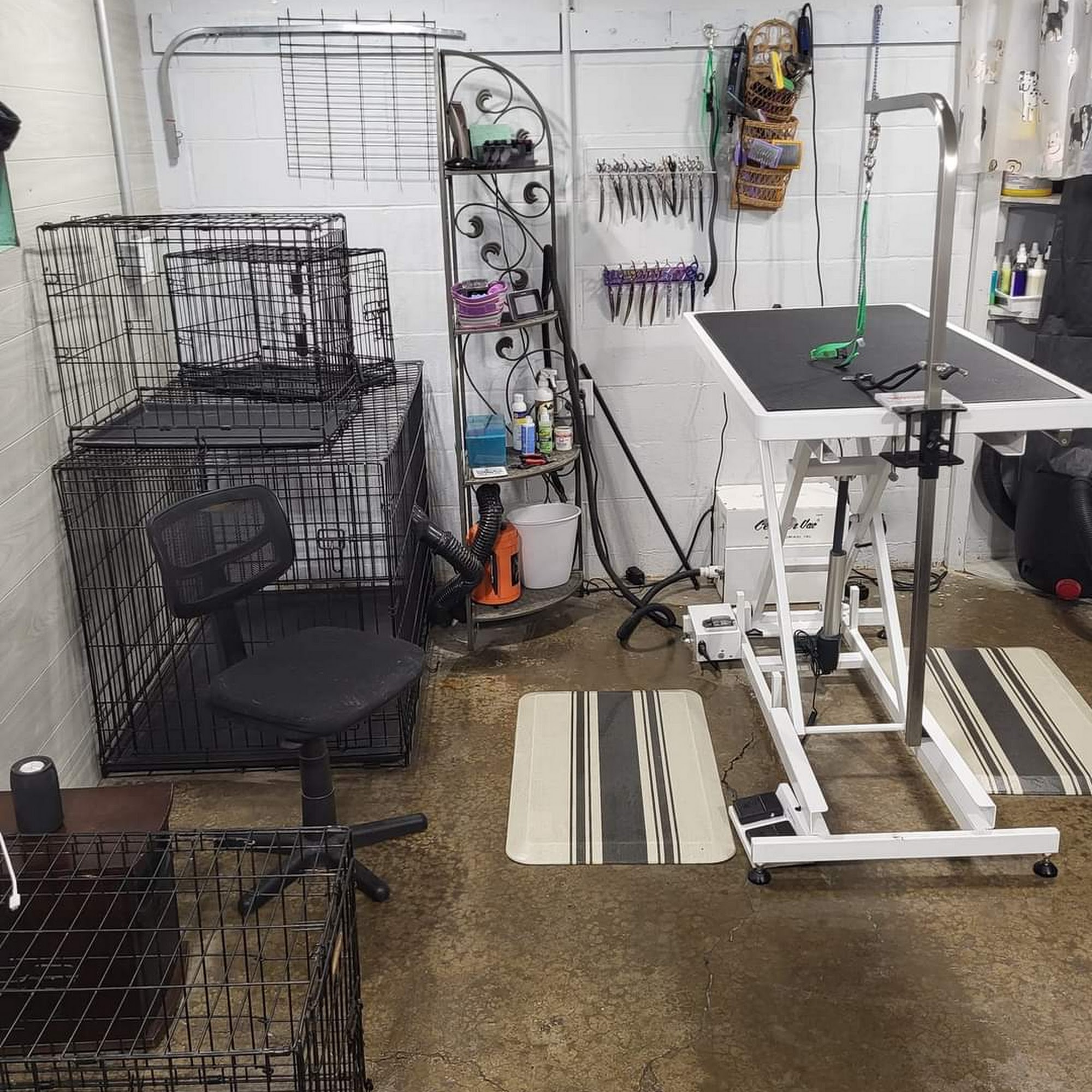 Stacey's Styling Pets Indiana