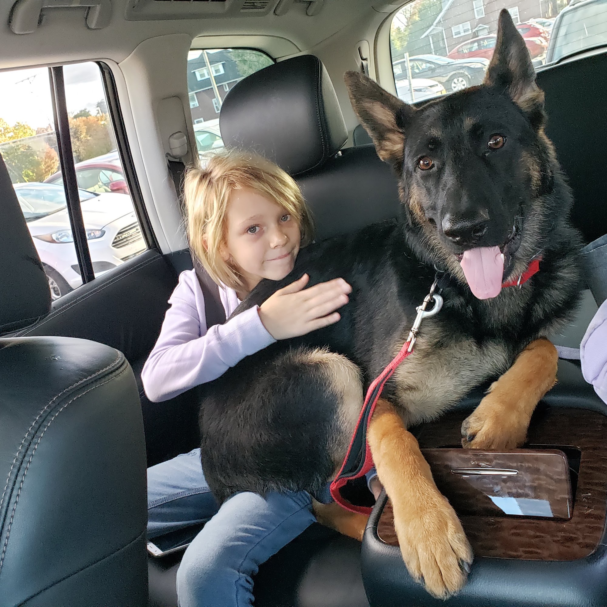 Horses & Hounds Indiana